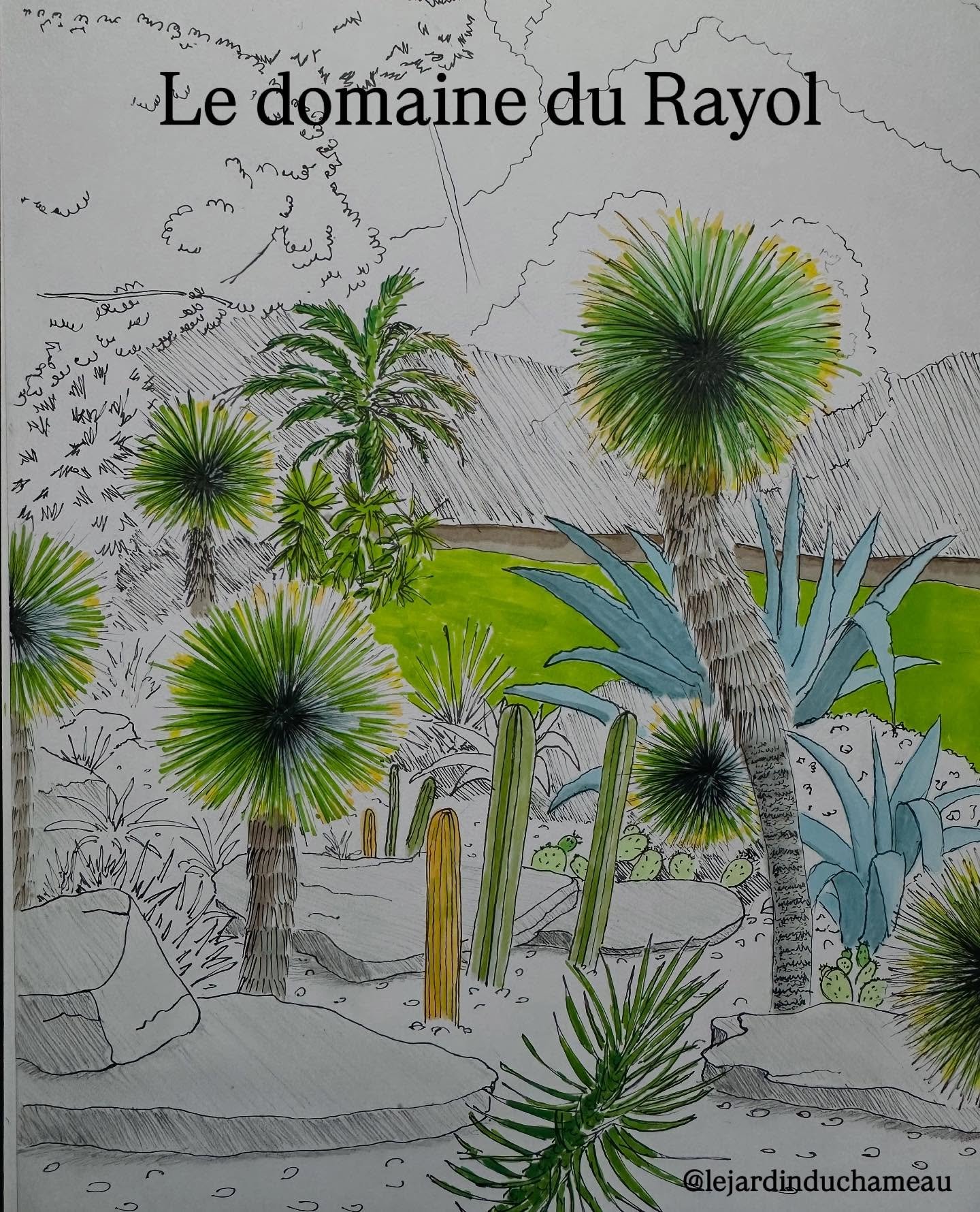Le domaine du Rayol dans le Var est un ensemble de jardins cr&eacute;&eacute; par Gilles Cl&eacute;ment. Ici le jardin de rocaille repr&eacute;sentant un paysage mexicain avec ses agaves et ses Yucca rostrata. Un exemple inspirant de jardin sec
#doma