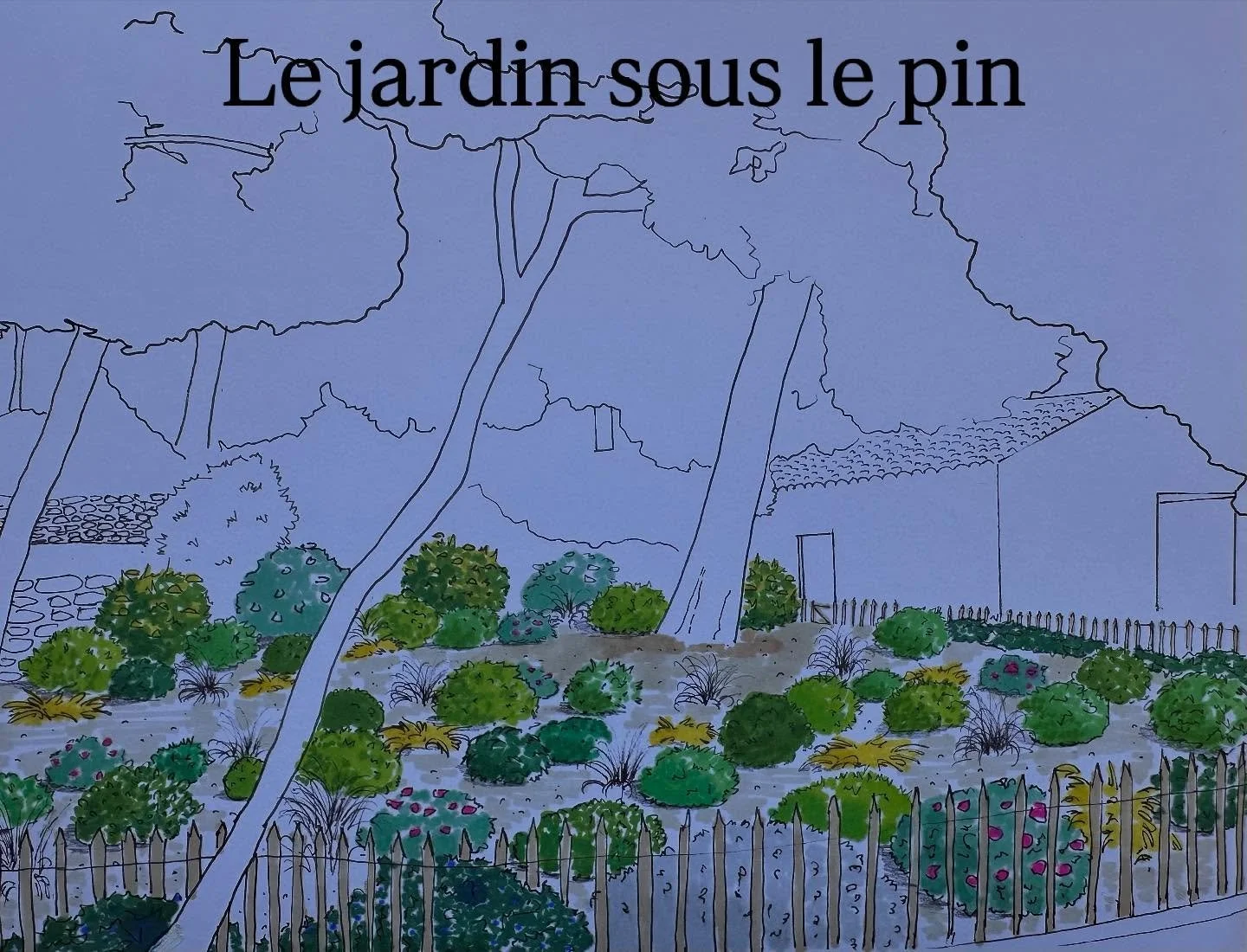 Nouveau projet de jardin sec: le jardin sous le pin.
L&rsquo;enjeu &eacute;tait de cr&eacute;er un jardin fleuri avec des v&eacute;g&eacute;taux acceptant la concurrence racinaire, l&rsquo;ombre partielle et un sol extr&ecirc;mement sec.
R&eacute;ali