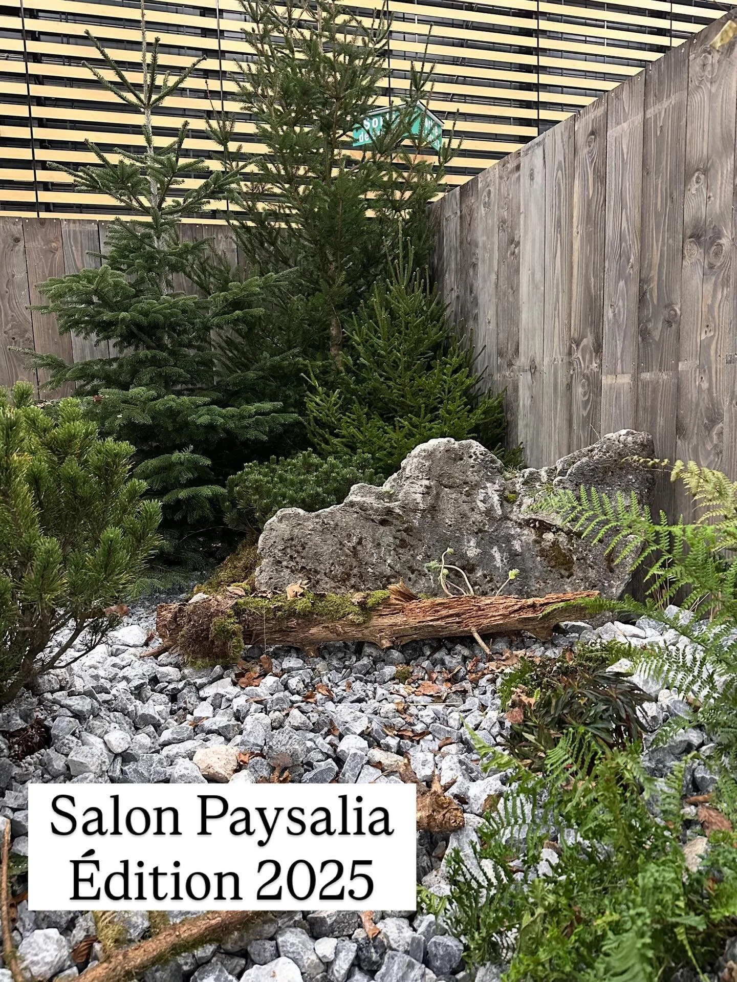 Retour du salon Paysalia &agrave; Lyon.
Un grand bravo &agrave; ces jeunes jardiniers et paysagistes qui ont cr&eacute;&eacute; de magnifiques jardins empreints de po&eacute;sie pour le carr&eacute; des jardiniers: une belle source d&rsquo;inspiratio