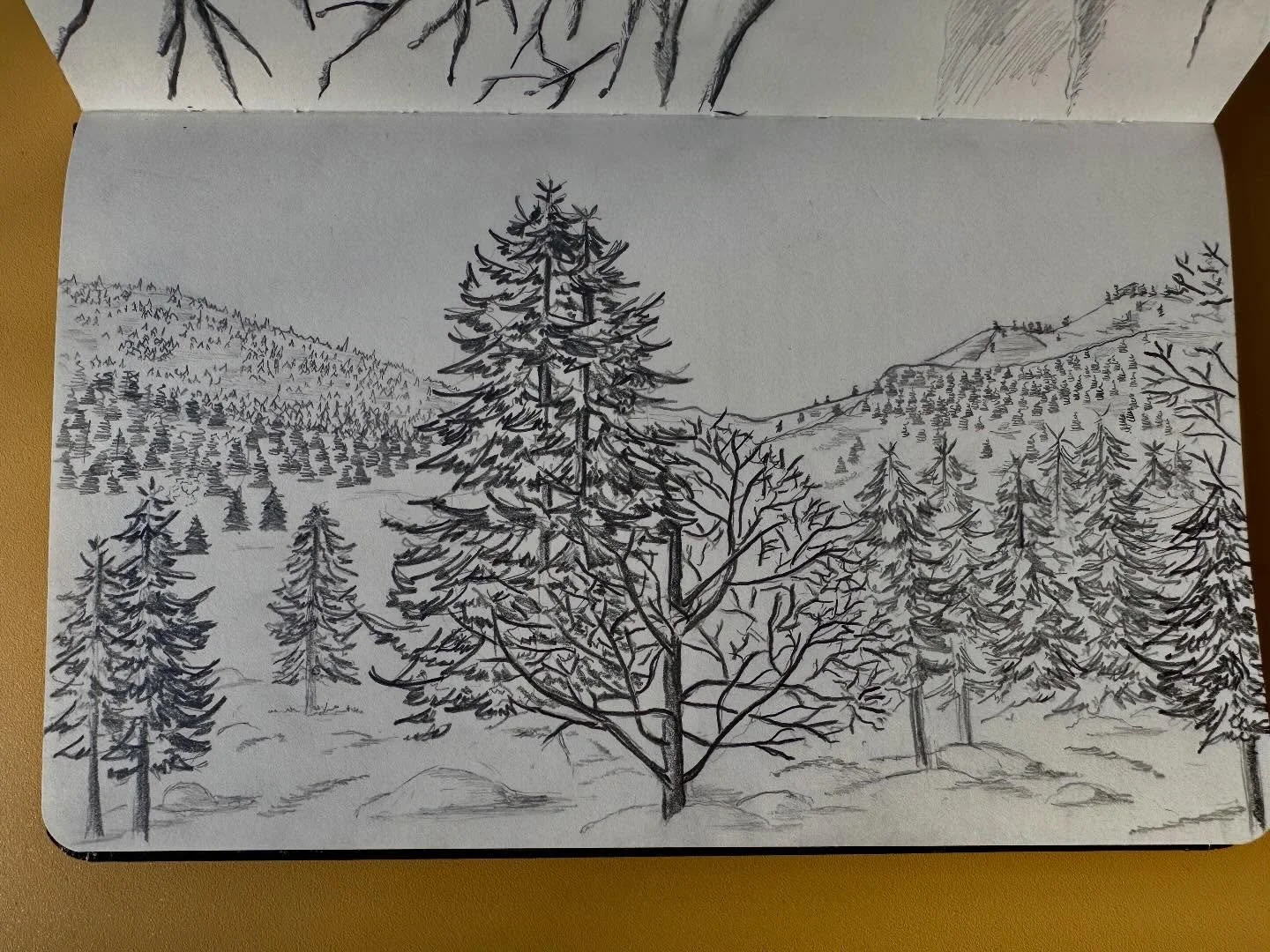 Magnifique paysage blanc de mes Pyr&eacute;n&eacute;es enneig&eacute;es. Inspiration dessin. #dessin #sketch #sketchbook