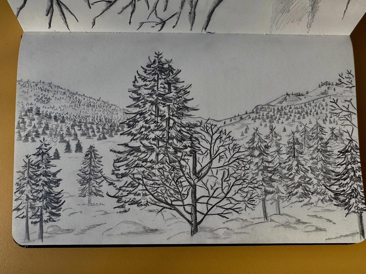 Magnifique paysage blanc de mes Pyr&eacute;n&eacute;es enneig&eacute;es. Inspiration dessin. #dessin #sketch #sketchbook