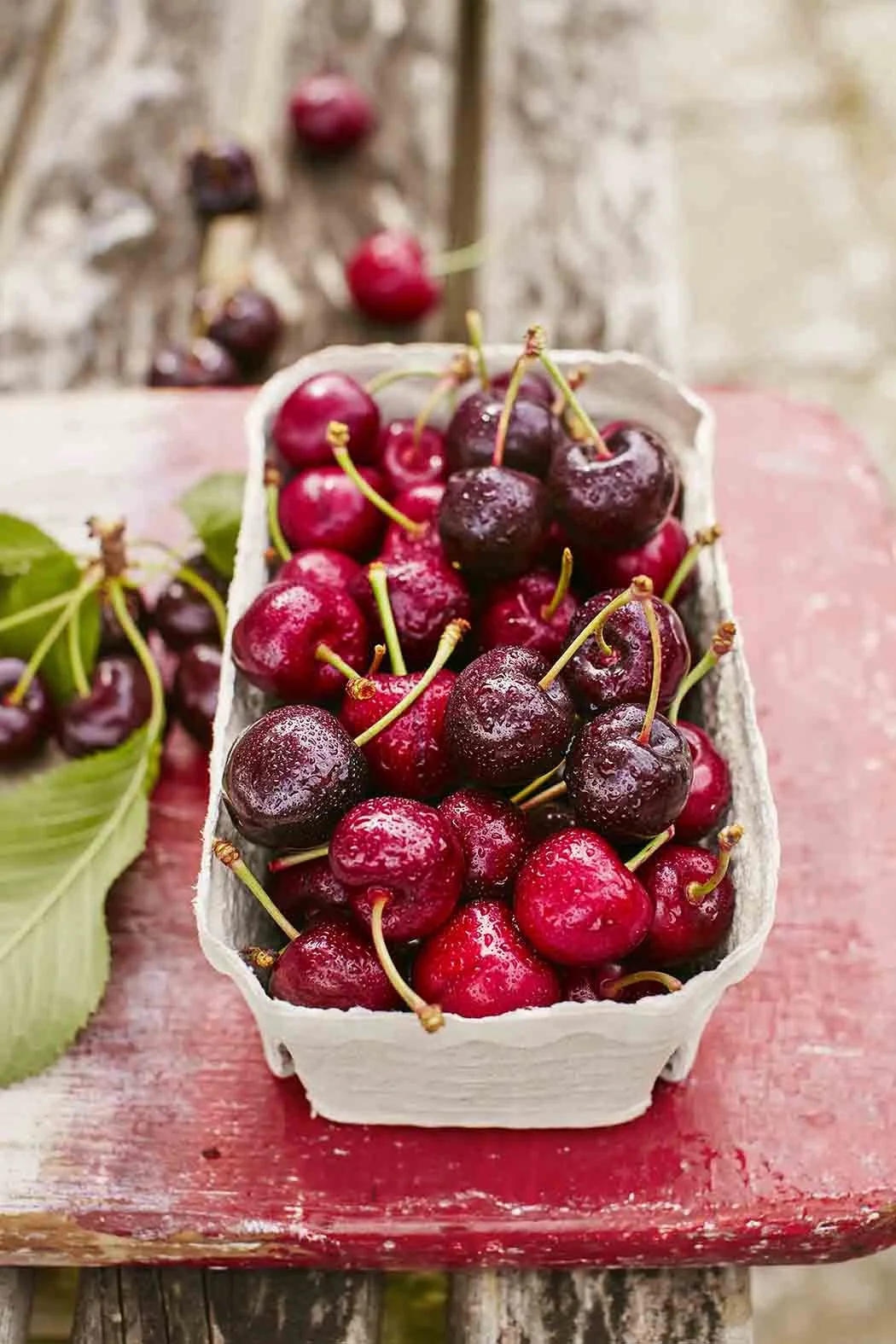 CherryFeature_CherryBox2.jpg
