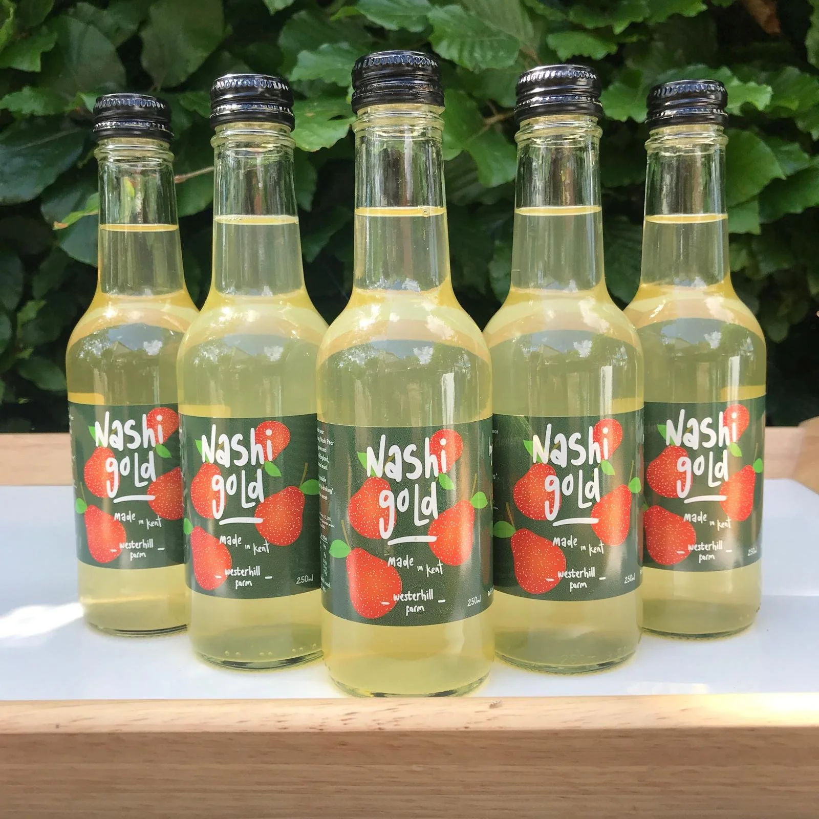 WhatsApp Image 2025-12-30 at 17.40.22.jpeg