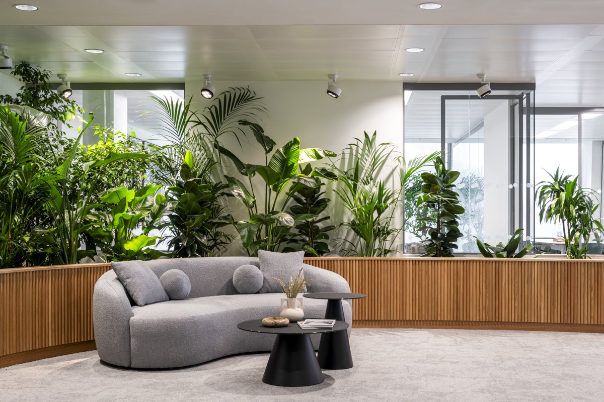 Modern indoor lounge area with a gray curved sofa, gray pillows, and a small black coffee table with magazines and decorative items. Behind the sofa, there is a wooden partition with green indoor plants and large windows letting in natural light.