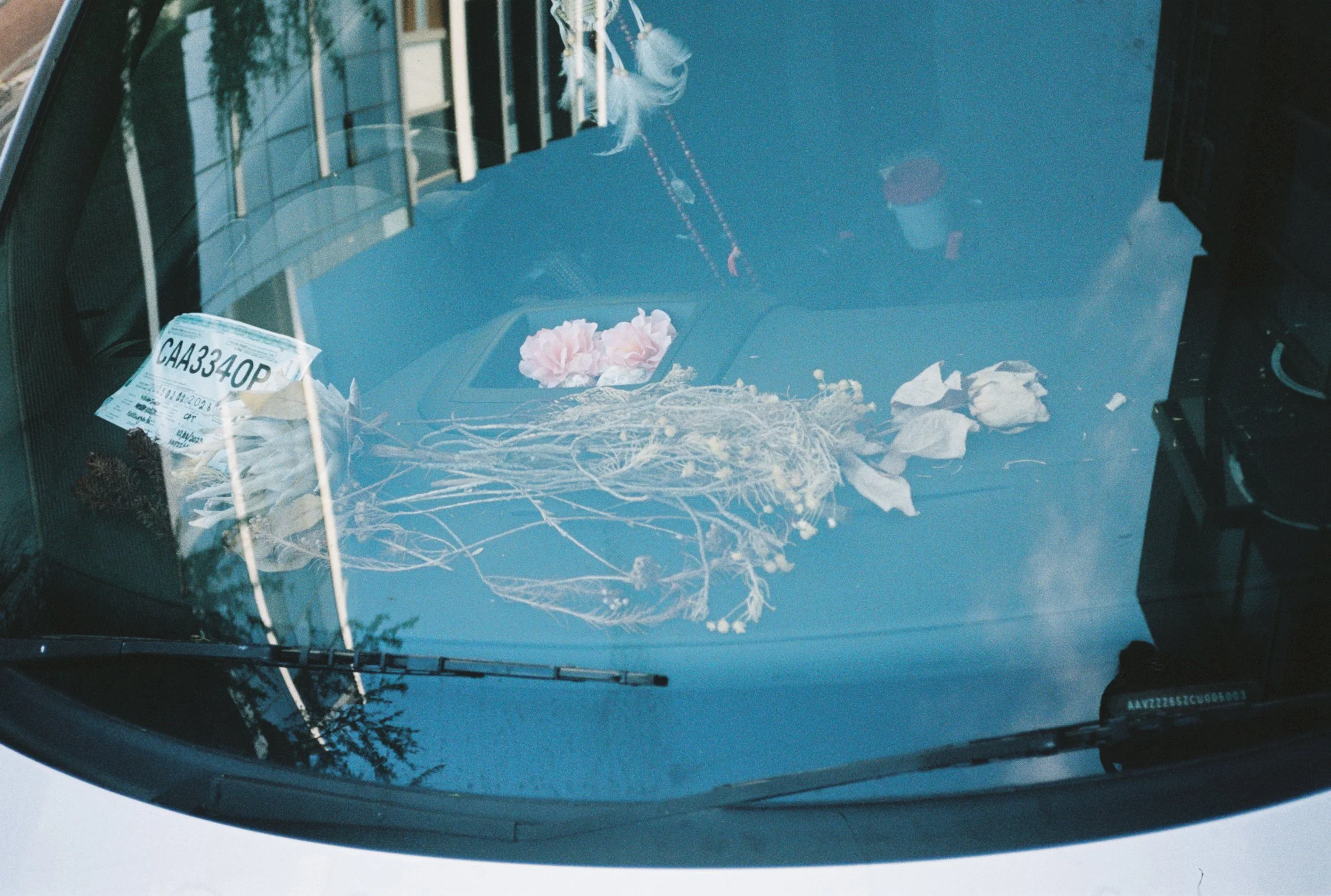2026_DIARY_CAPETOWN_105.jpg