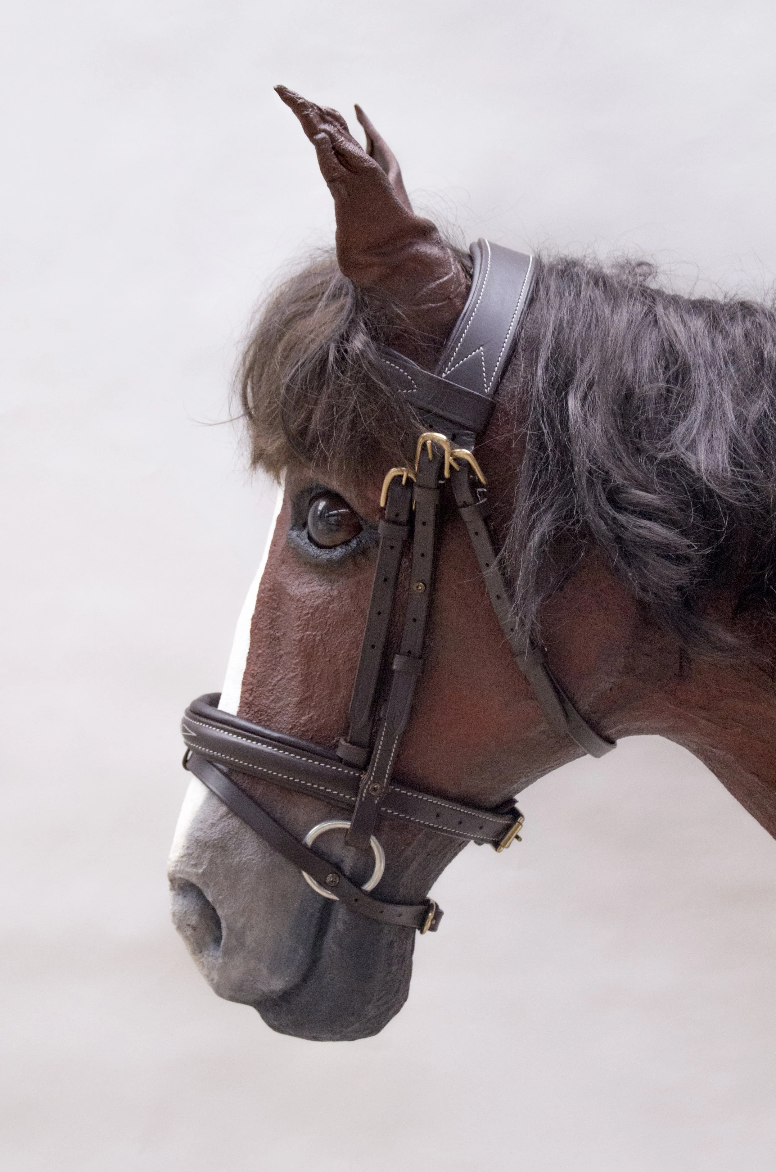 paard 01.jpg