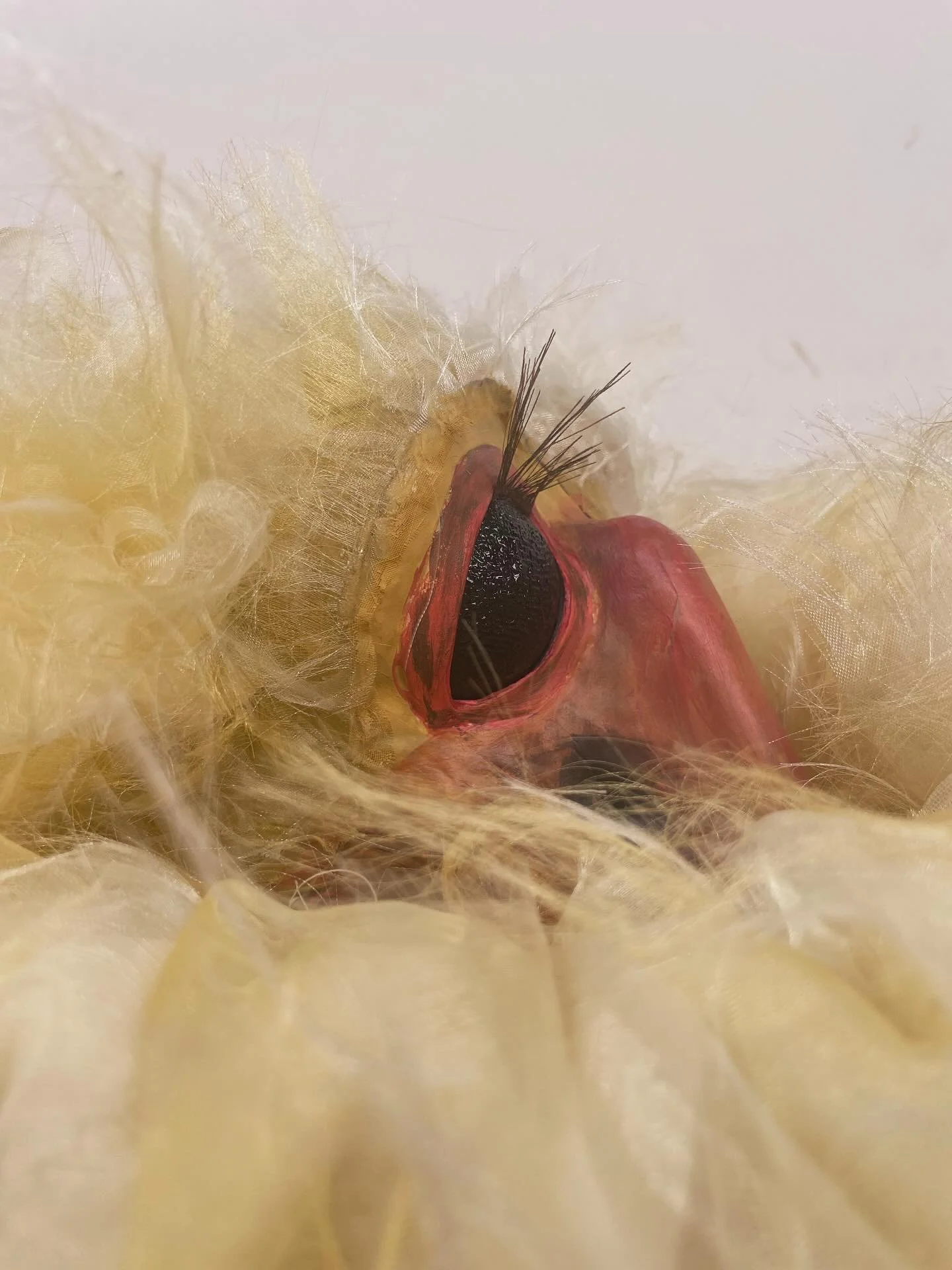 Sneak peek van de struisvogel voor @studio.ufo. 
14 september premi&egrave;re @bibliotheekutrecht ! 

@snelderwaard 
@josjeeijkenboom 
@sebastiaanbax

#jeugdtheater #puppet #costume #mask #kostuum #puppetry #prop #puppetmaking #puppetbuilding #poppen