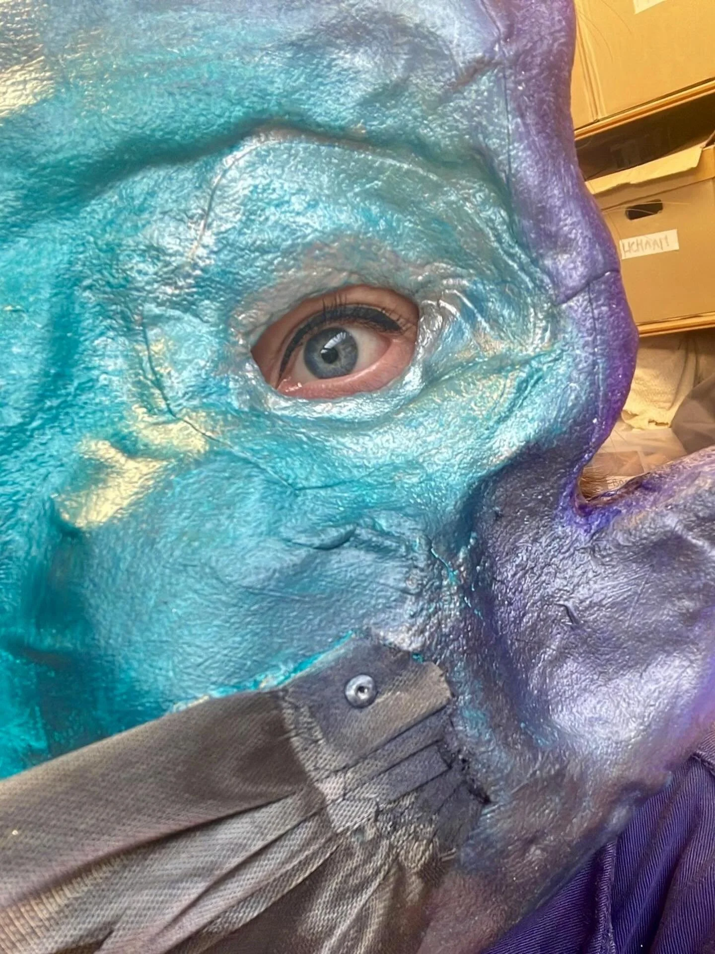 I spy, I spy, with my little fisheye 🐟

DIEP - Vanaf februari in de theaters! 

@hetfiliaaltheatermakers 

#poppenontwerp #jeugdtheater #kostuumontwerp #maskers #eva_arends