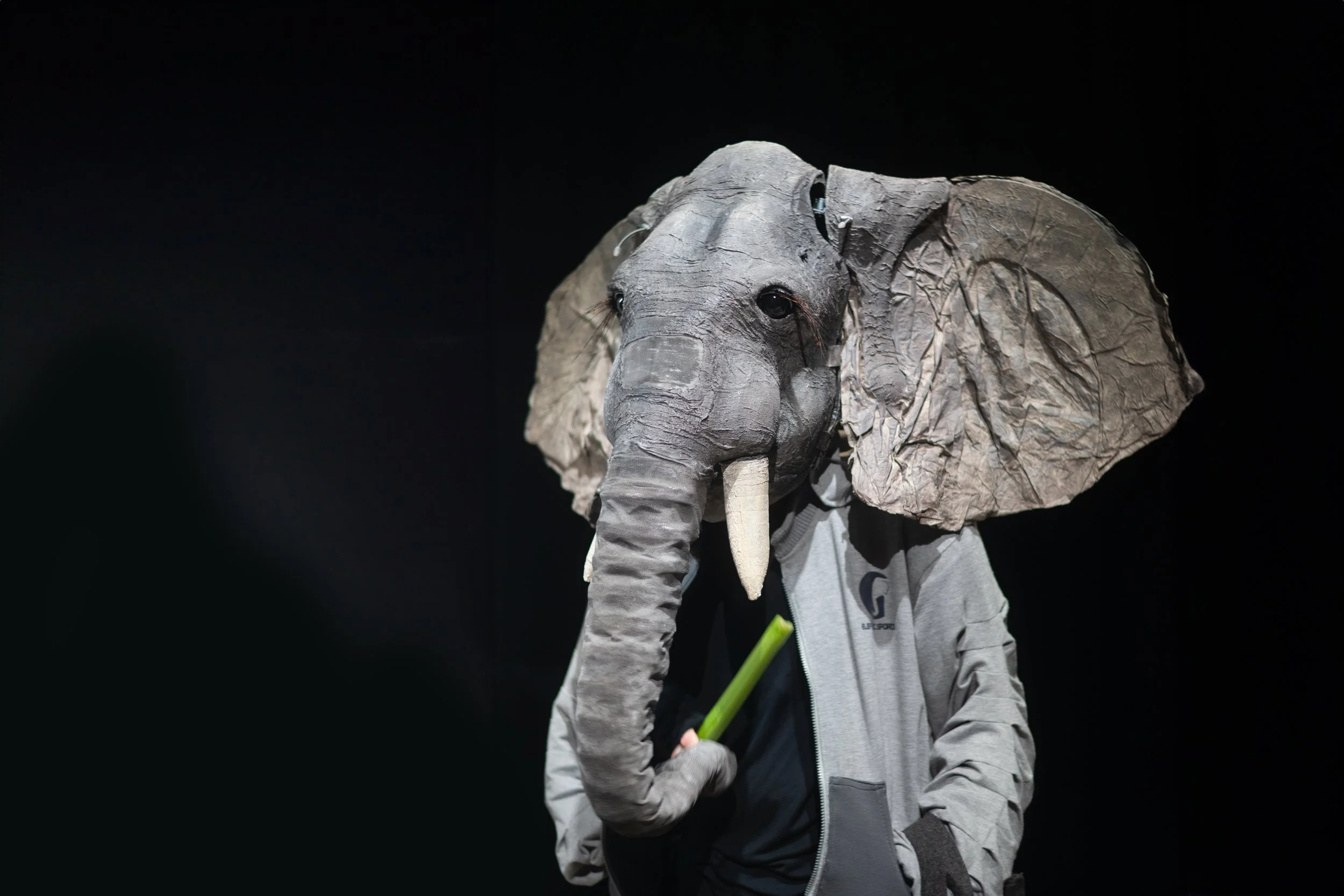 Er staat een olifant bij de bushalte