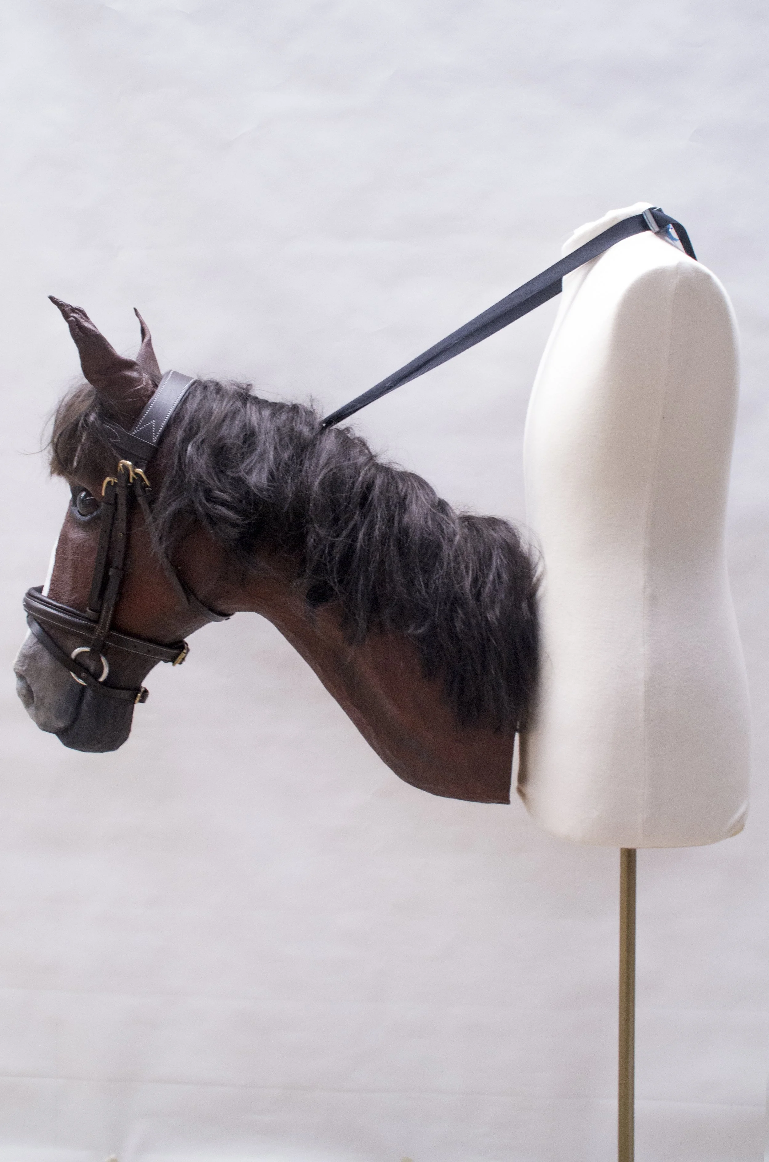 paard 02.jpg