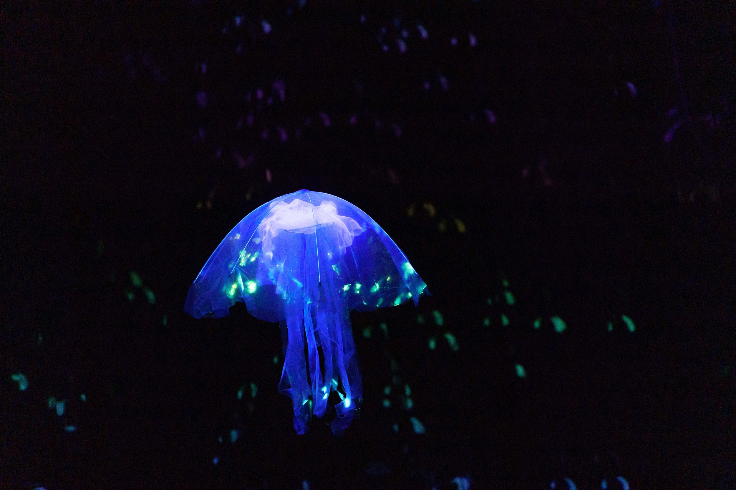 DIEP6_Scènefoto_Sjoerd Derine_Het Filiaal0725.jpg