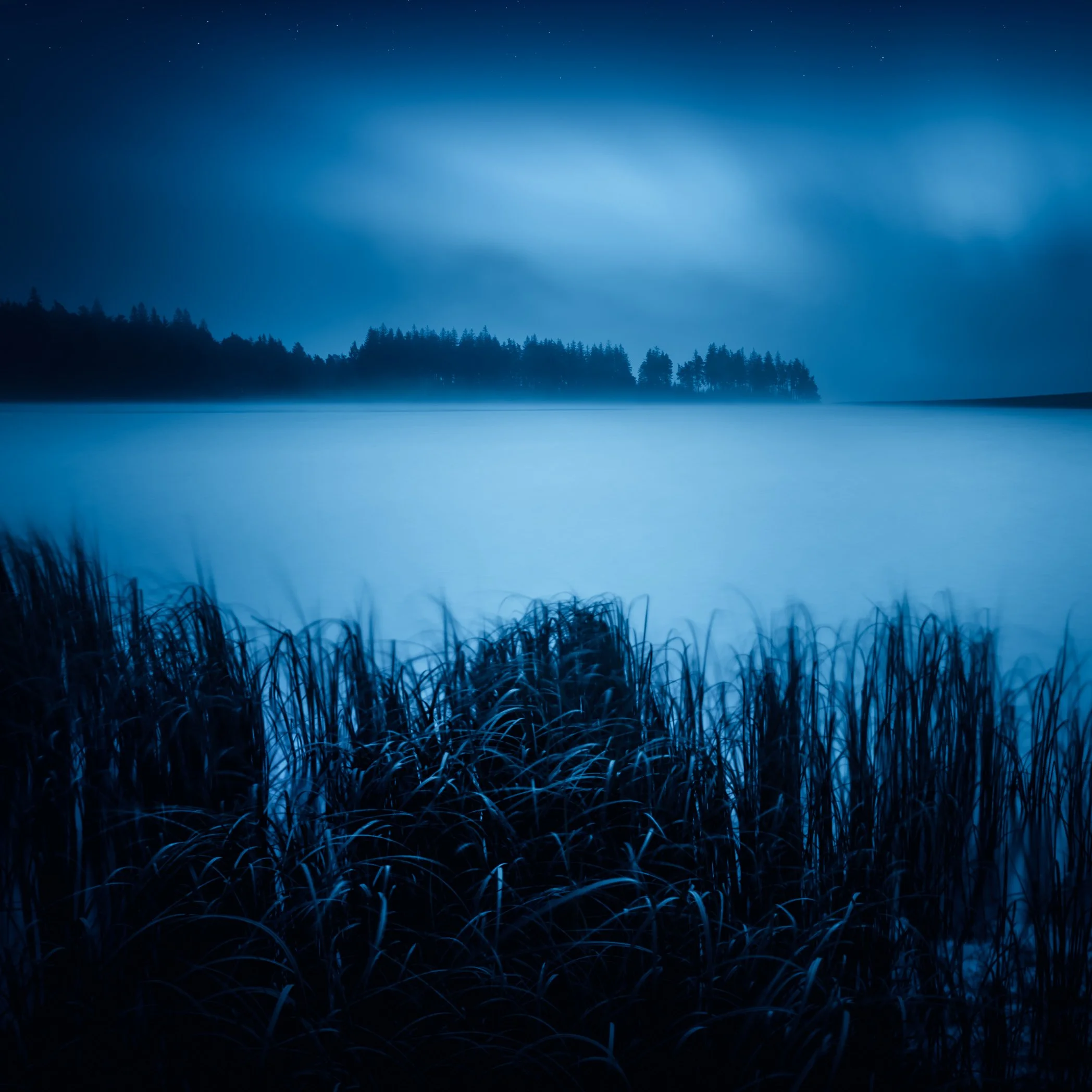 Berges herbeuses Servières nuit_Octobre 2021.jpg