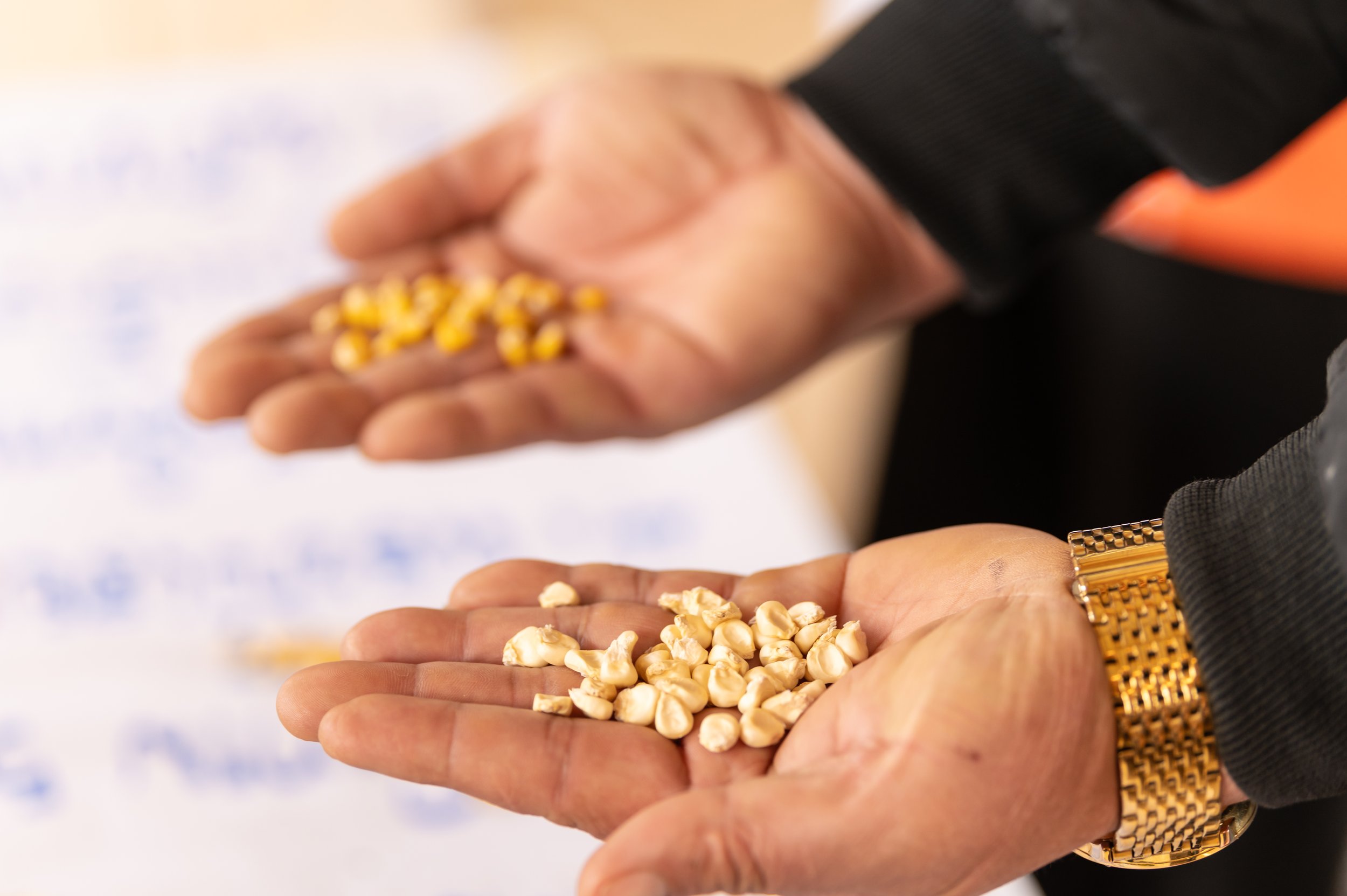 Participatory Data Collection Essentials