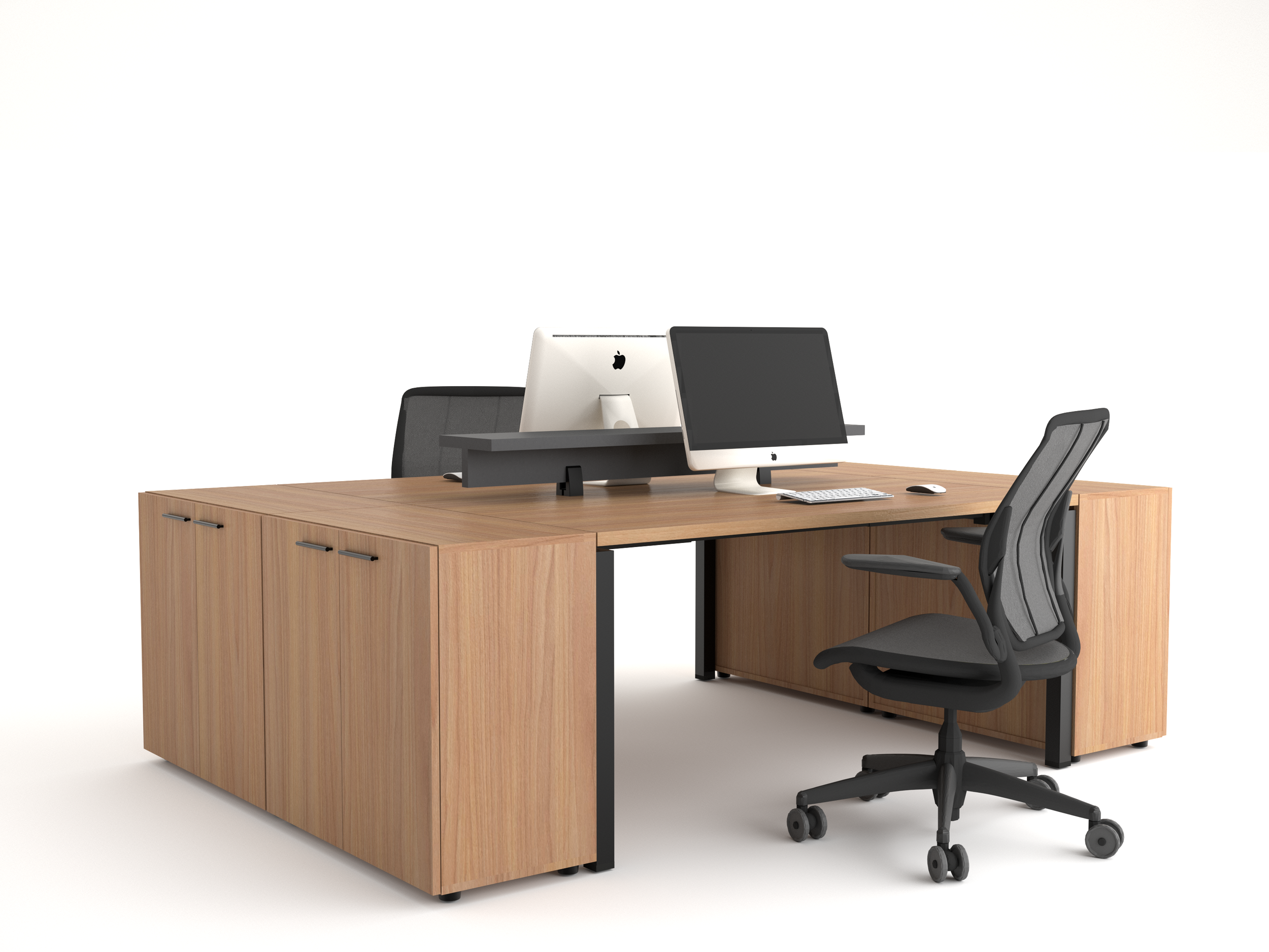 03 - X100 DOUBLE - SHLF - STRG X2.png