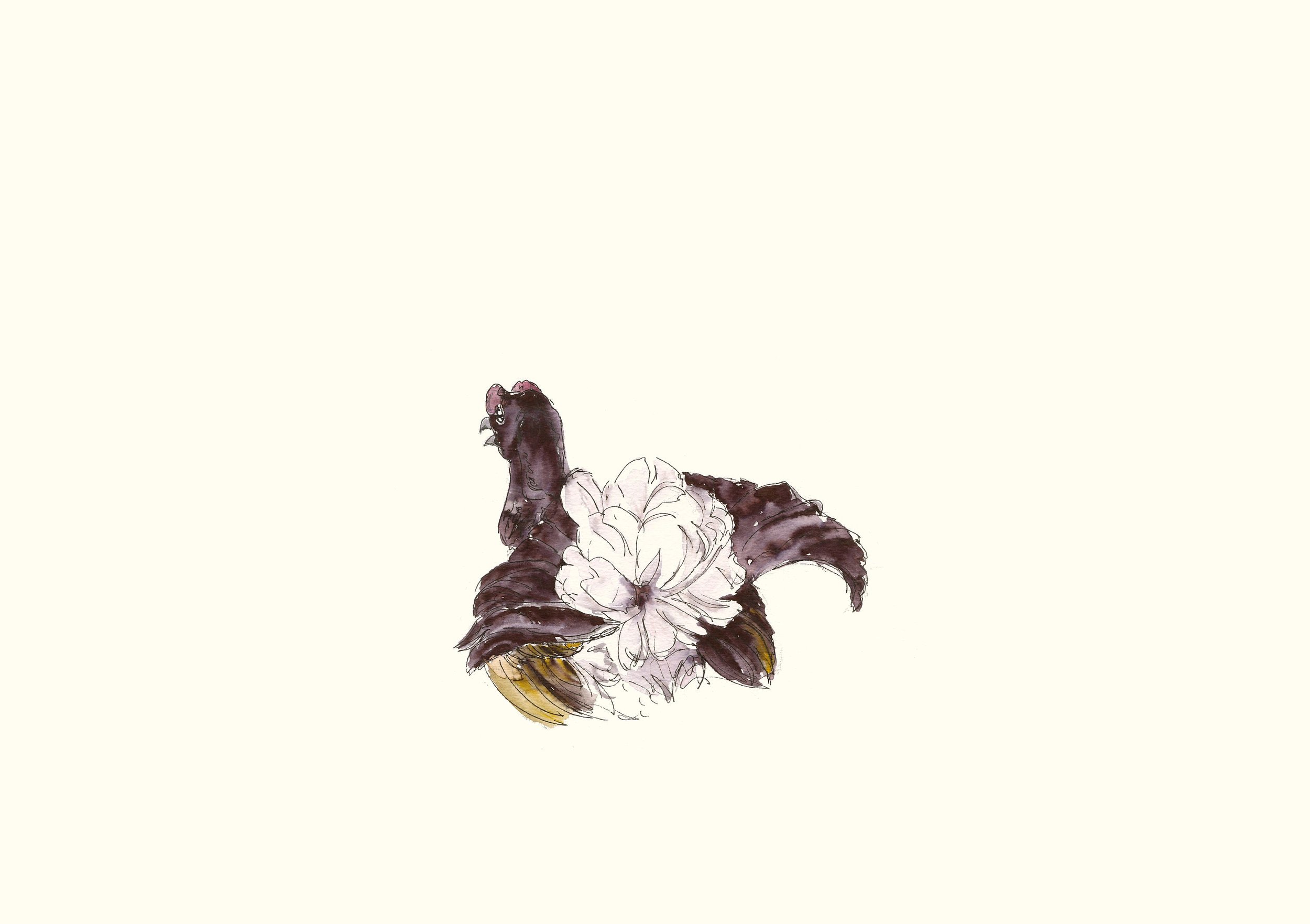 https://i.etsystatic.com/34903454/r/il/1a9314/3867281363/il_fullxfull.3867281363_3bnj.jpg
