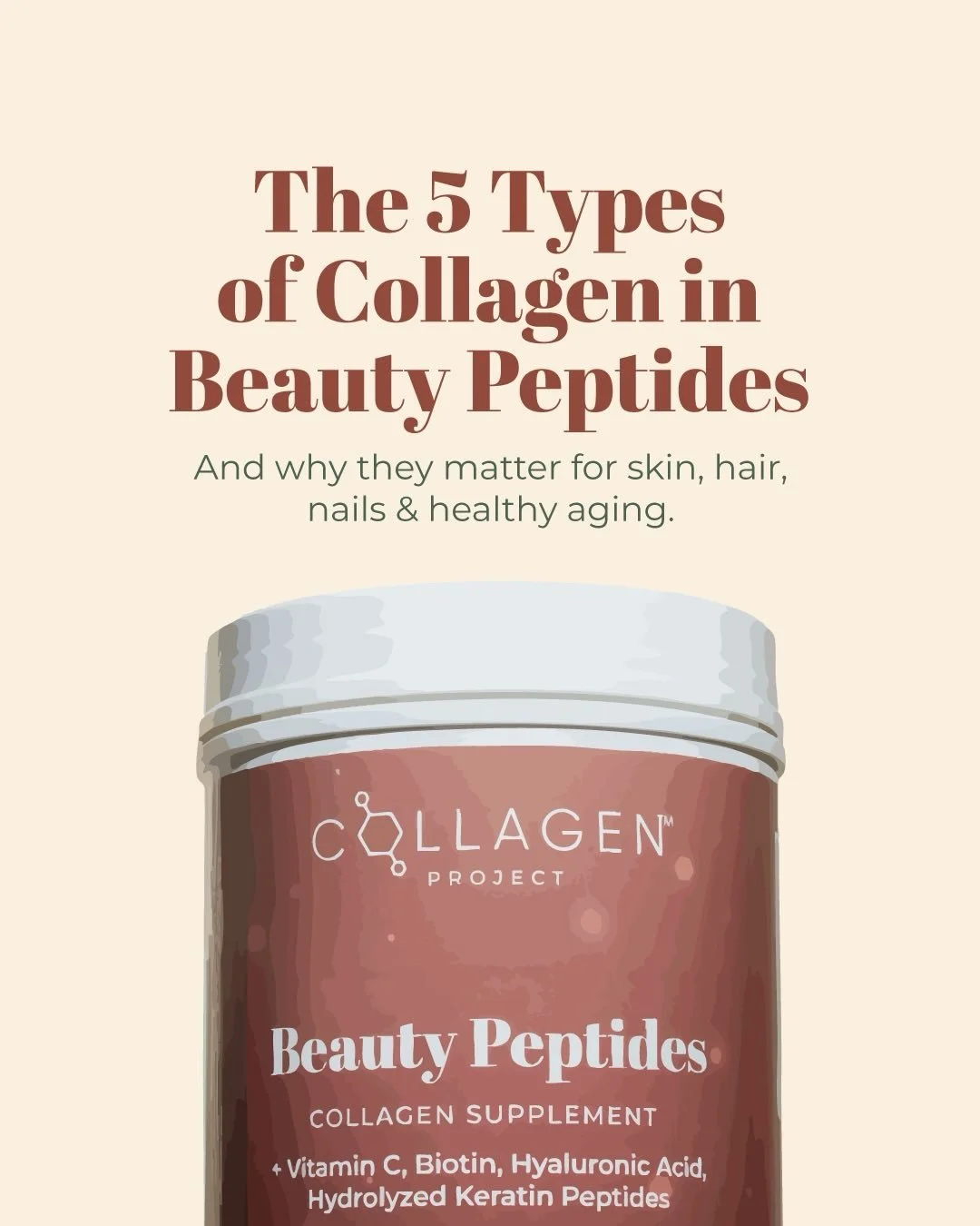 Beauty Peptides &ne; basic collagen. ✨
Our formula includes five types of collagen (I, II, III, V &amp; X) &mdash; a unique blend you won&rsquo;t find in most competitor products.

More types &rarr; better support &rarr; stronger, healthier skin, hai