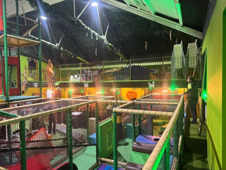 jungle-play