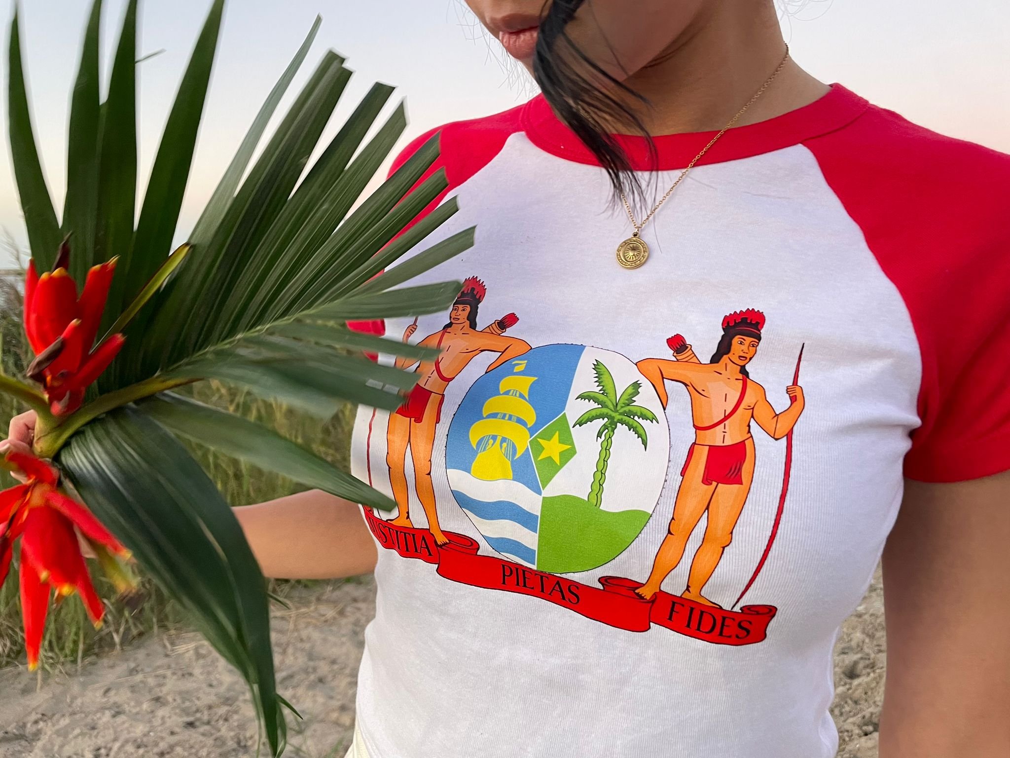 "Hai Boi" Red Sleeve crop-top