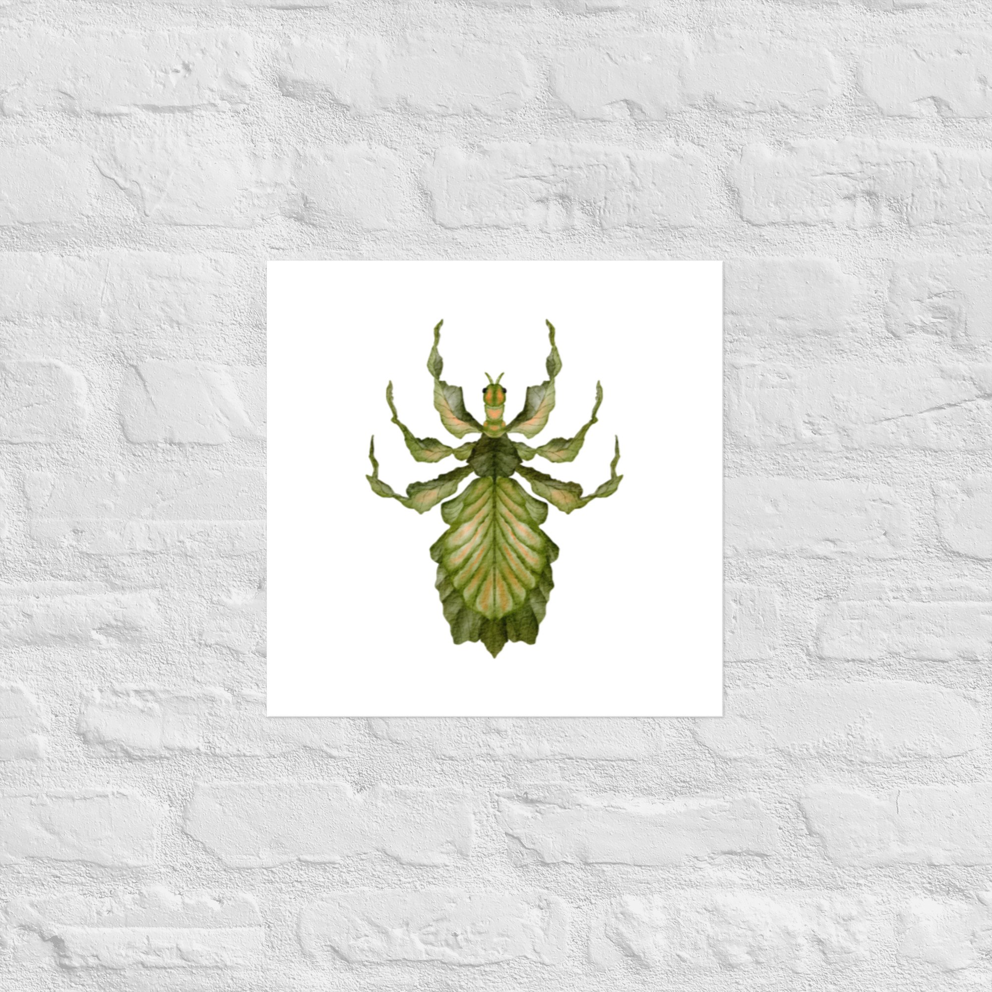 enhanced-matte-paper-poster-(in)-16x16-front-6811f867828d0.jpg