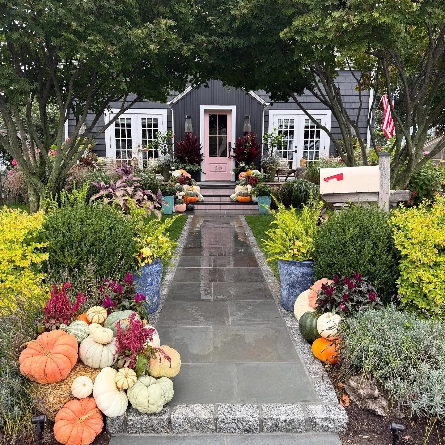 Just need the cabbages when I find them!! Happy fall everyone!!🍂🍁🍃