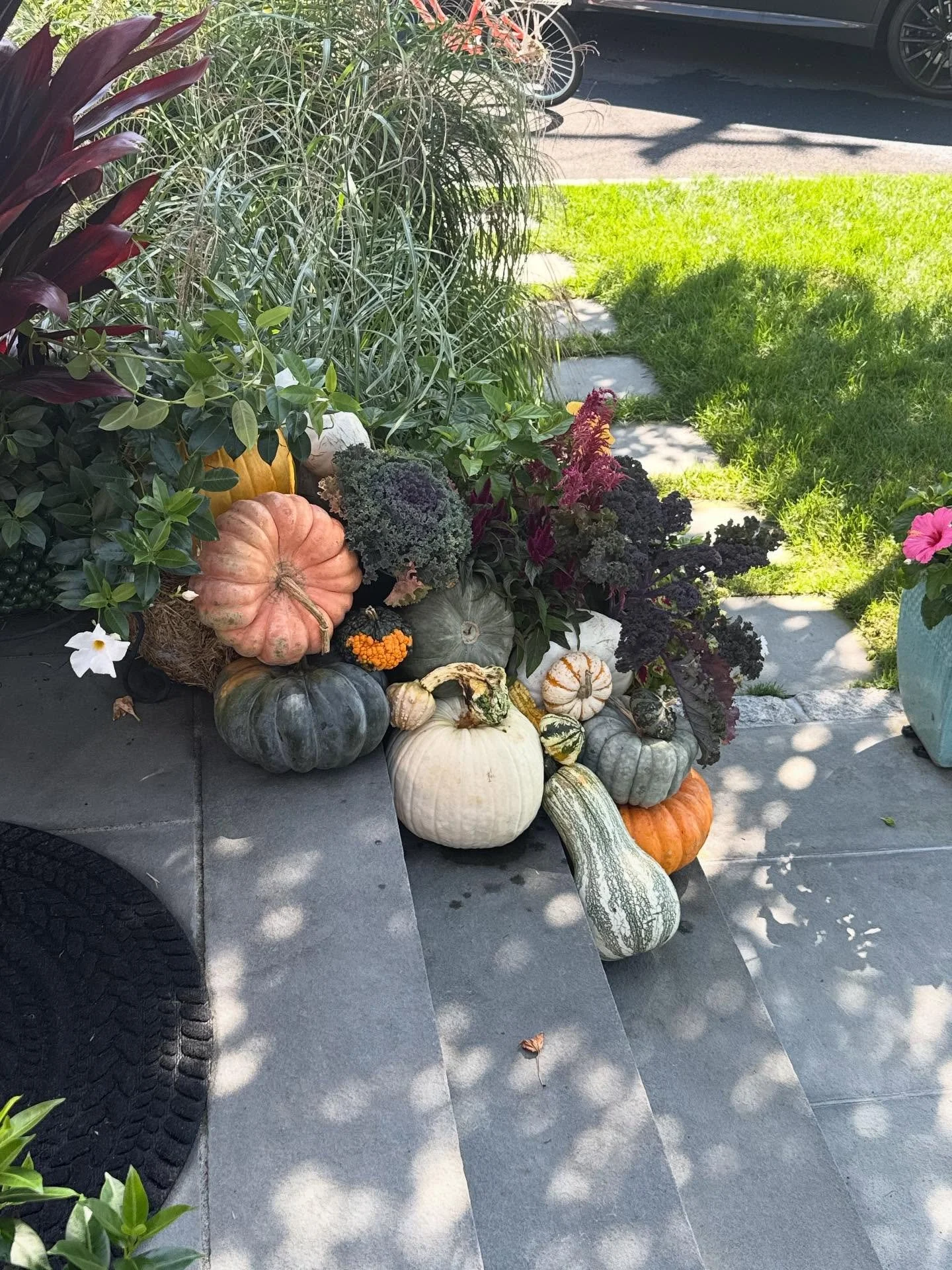 I added those cabbages!! Thank you Outdoor Design!! You always have great selections❤️