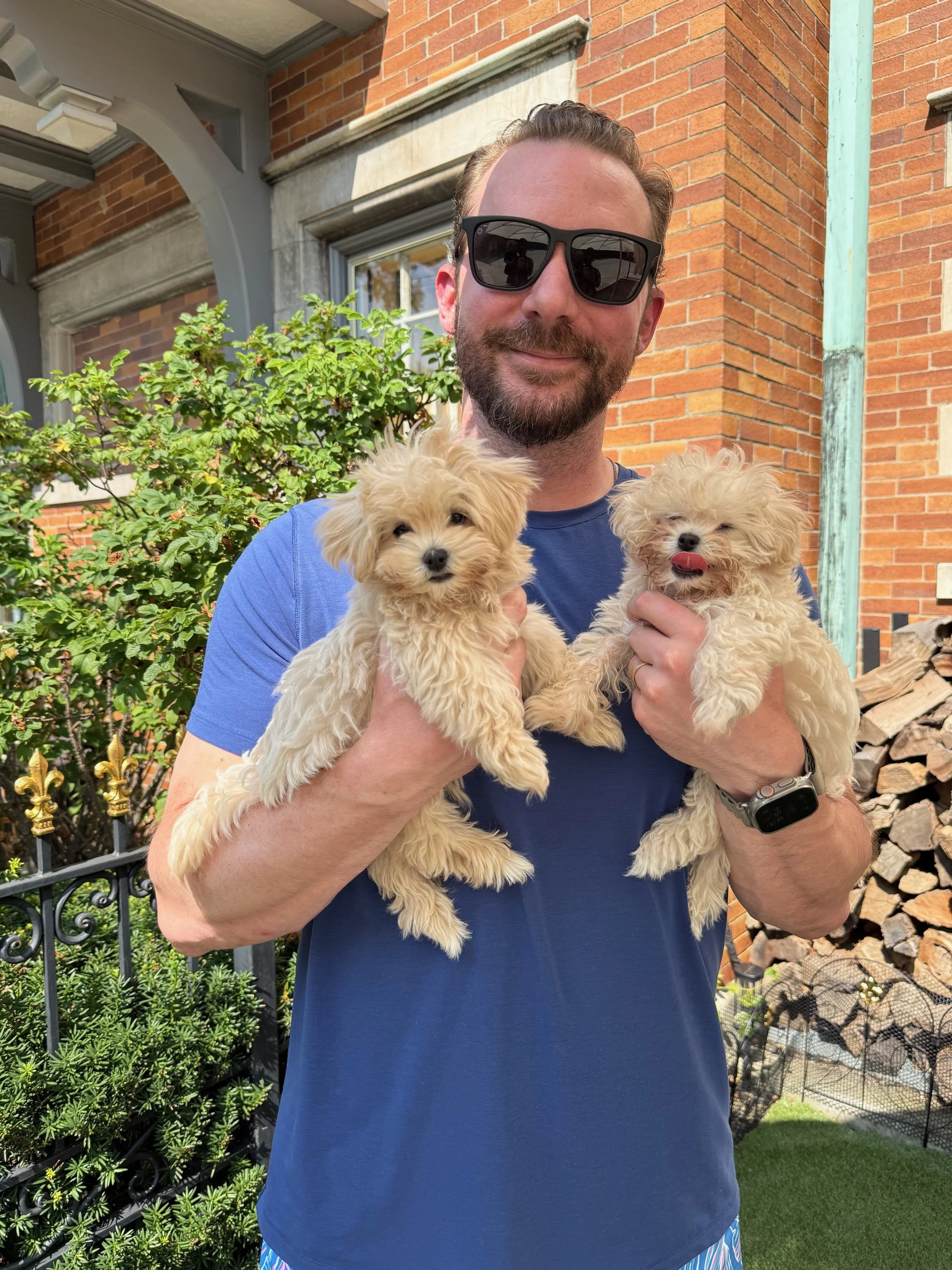 A man wearing sunglasses and a blue t-shirt holds two small fluffy dogs outside a brick house on a sunny day.