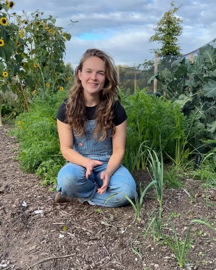 🧄 Swipe for the 5 steps we take to grow great garlic! 🧄💚🌱

There&rsquo;s two different types of garlic - hard neck and soft neck. Soft neck tends to produce larger bulbs with more cloves, stores for longer, at least 12 months, is best suited for 
