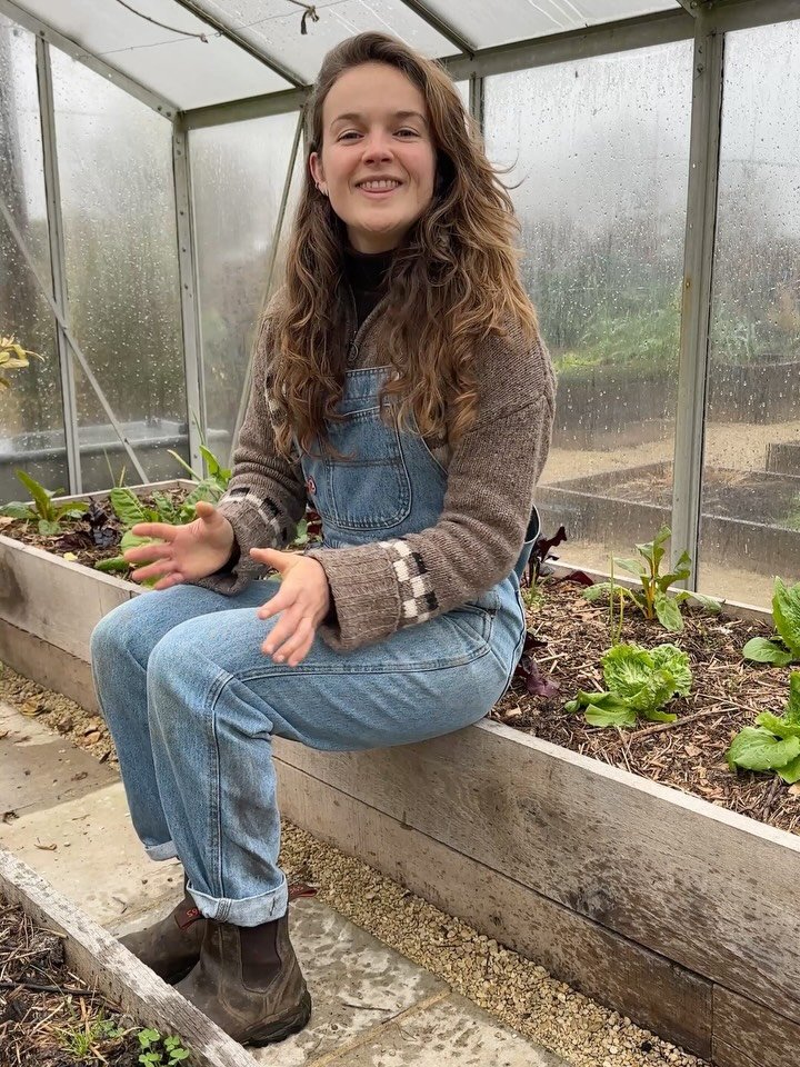 This is how I grow shallots in 5 simple steps. Shallots are similar to onions in the way they taste and the way they are used in the kitchen. I find they are a bit sweeter than onions. Shallots grow in a similar way to garlic - you plant one bulb and