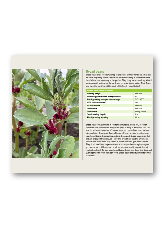 Broad+beans+preview+page+2.jpg