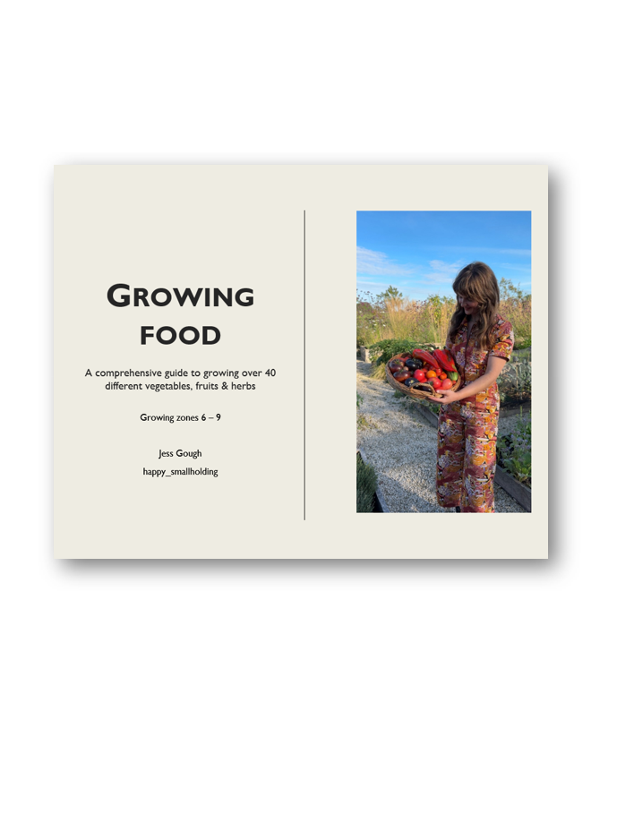 Book Cover.png