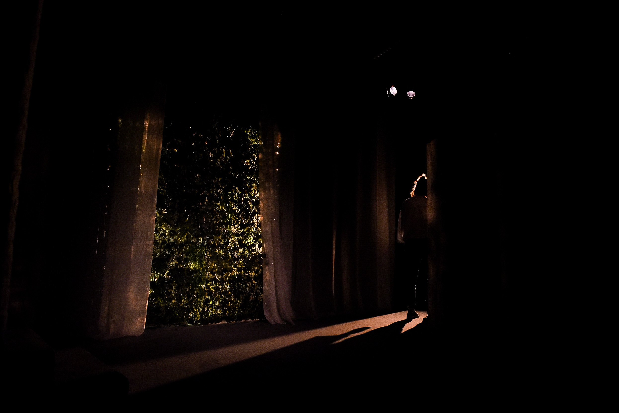 Bonsai Baby Lucy -39.jpg