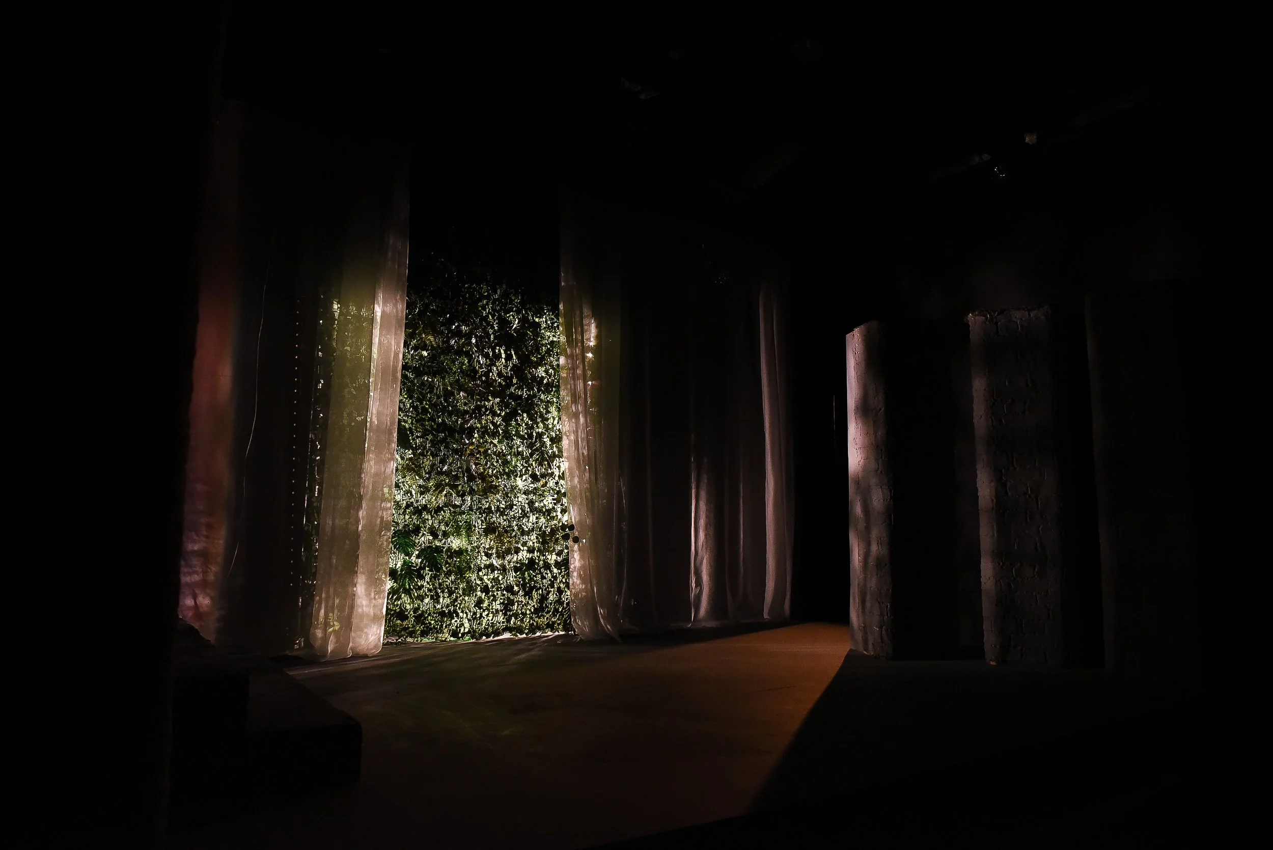 Bonsai Baby Lucy -40.jpg