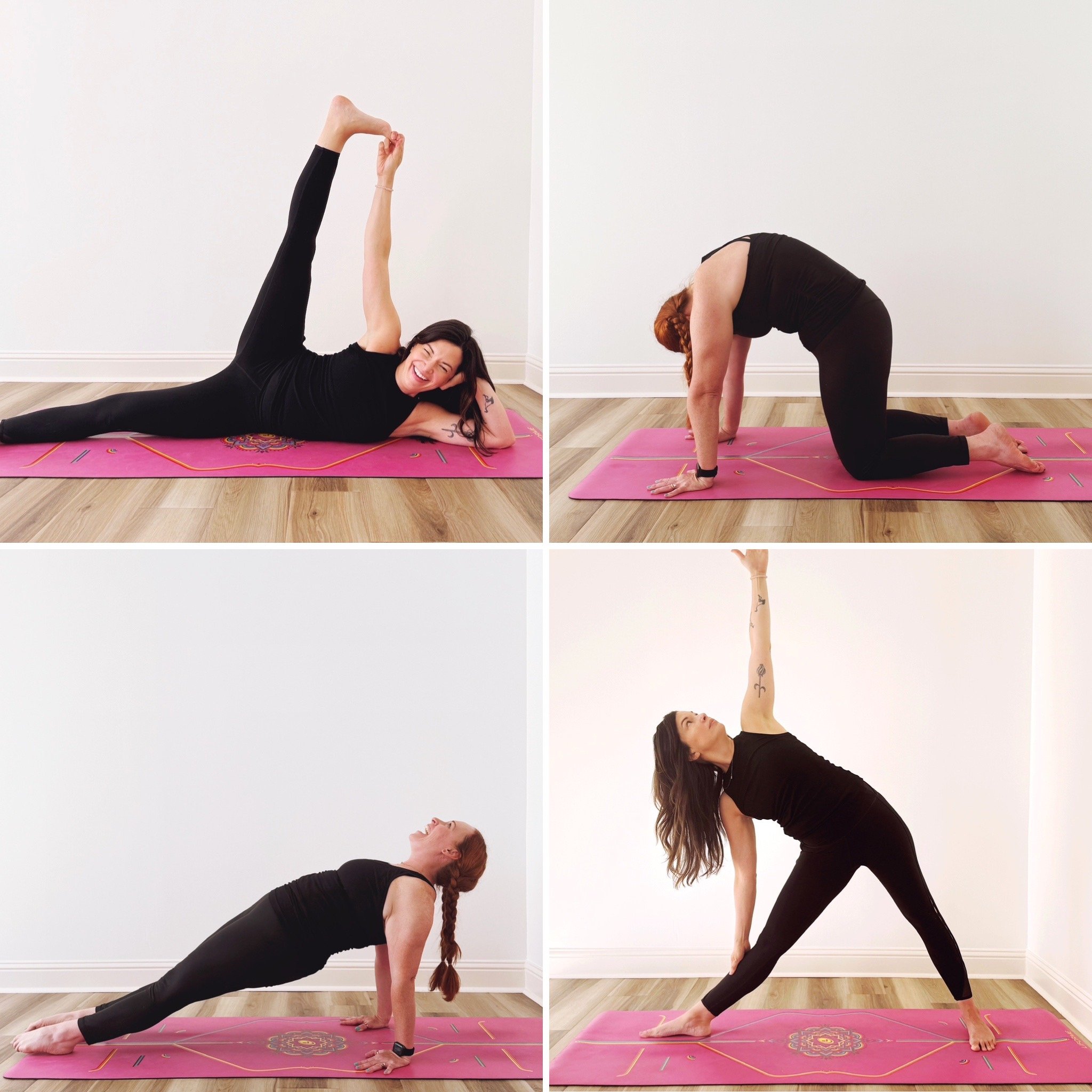 Kindred Path Yoga School's Yoga Teacher Training. Yoga Anatomy &amp; Physiology: The Essentials