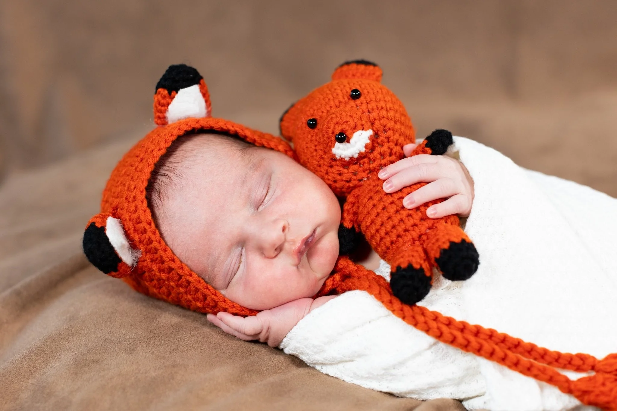 Newborn Fox.jpeg