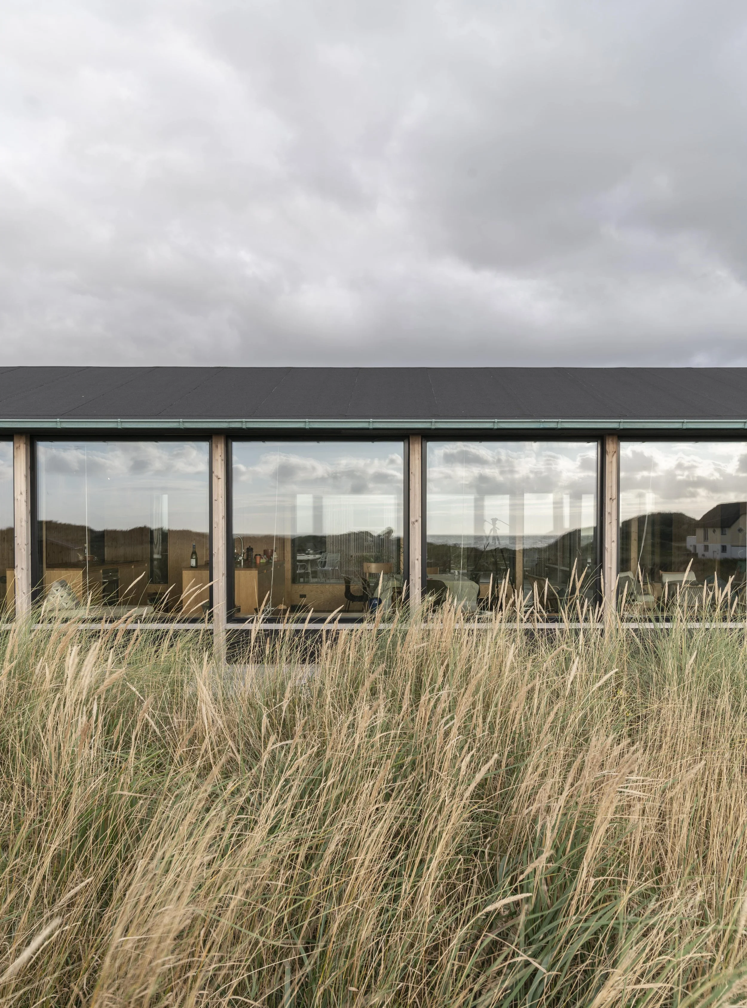 DSC00488 compressed.jpg