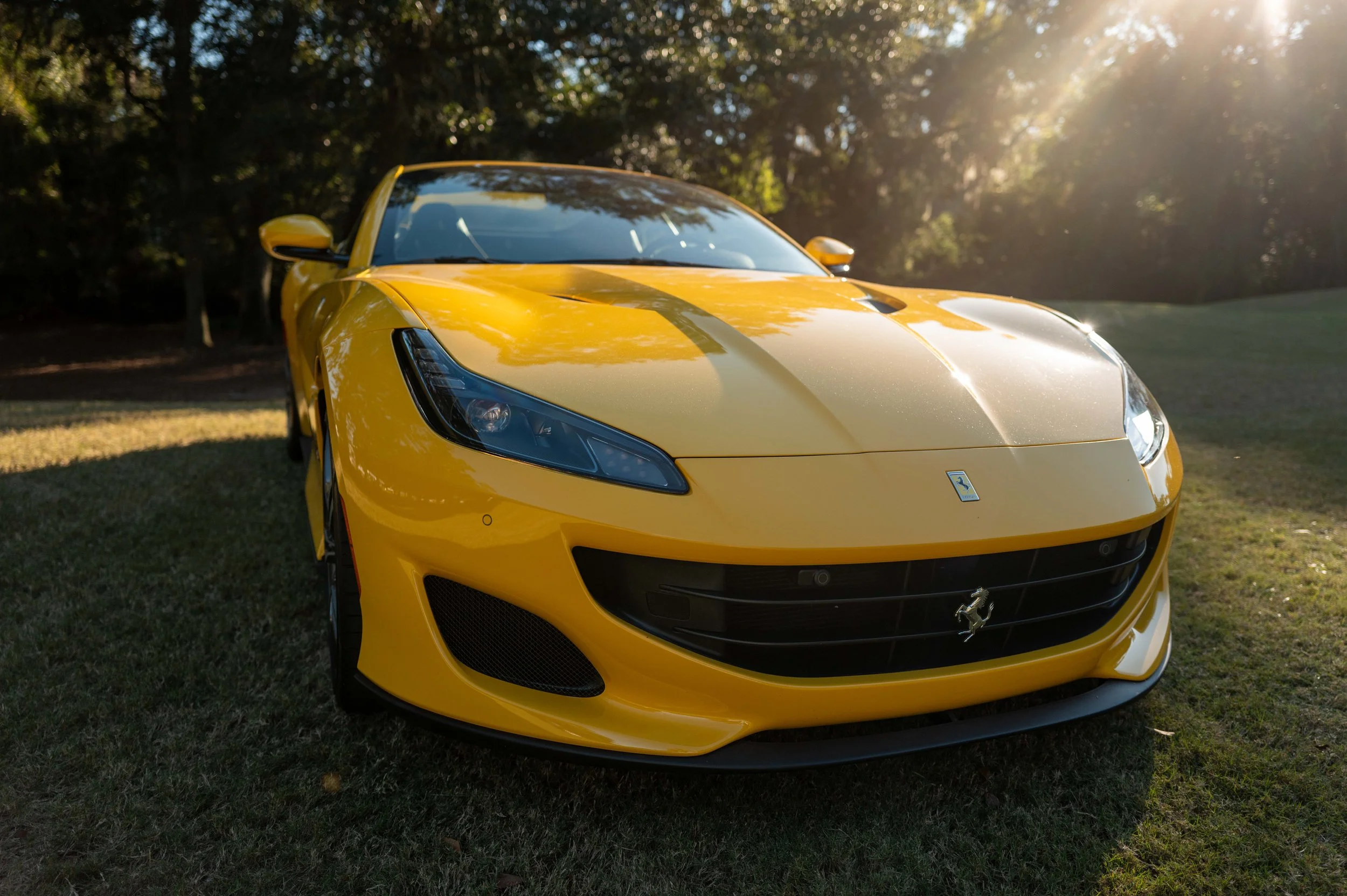 HrizukPhoto-2025-HHI-Concours-Sat-NOV-01-L1340314.jpg