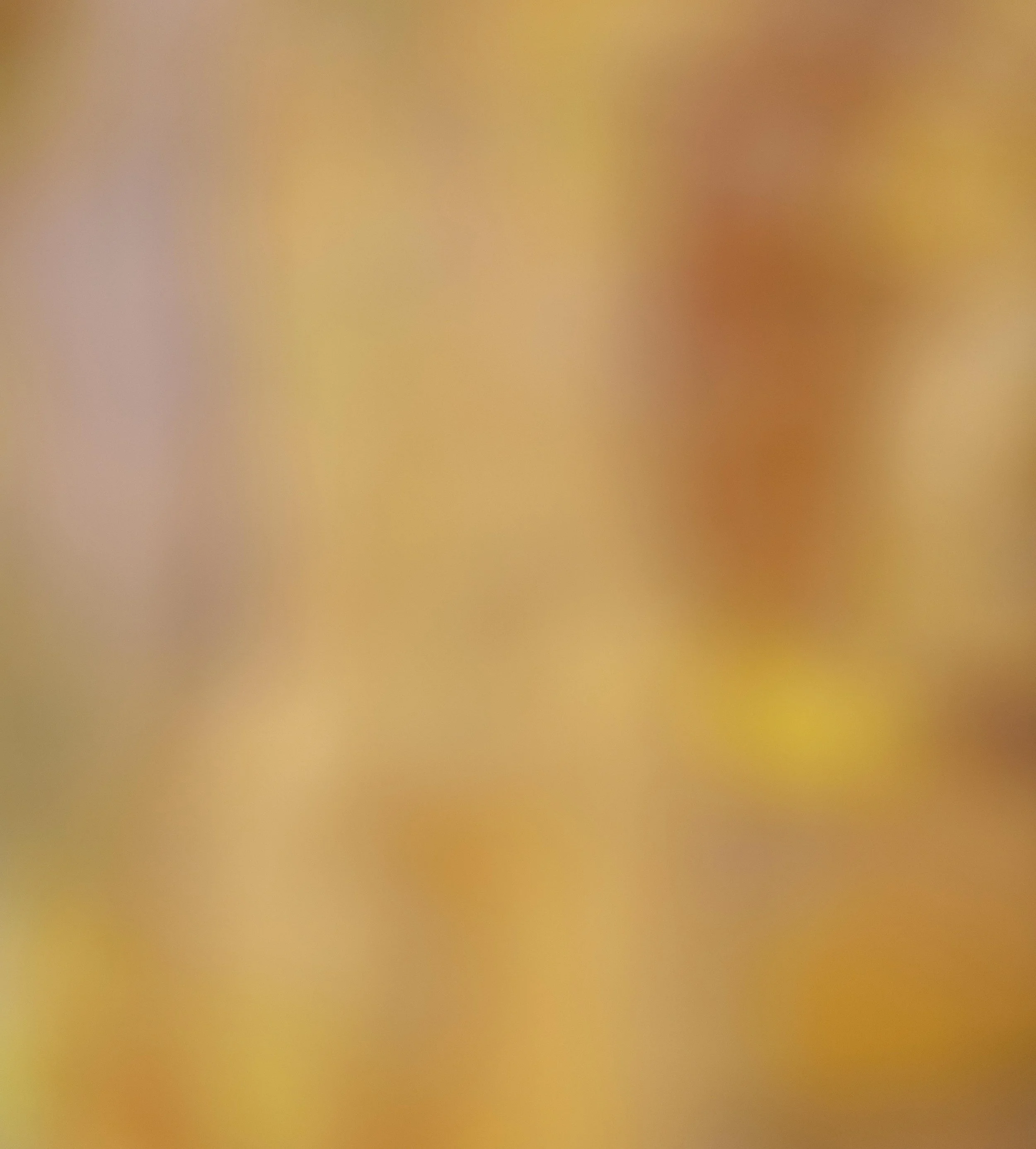 Blurred, indistinct, colorful background with no specific objects or details.