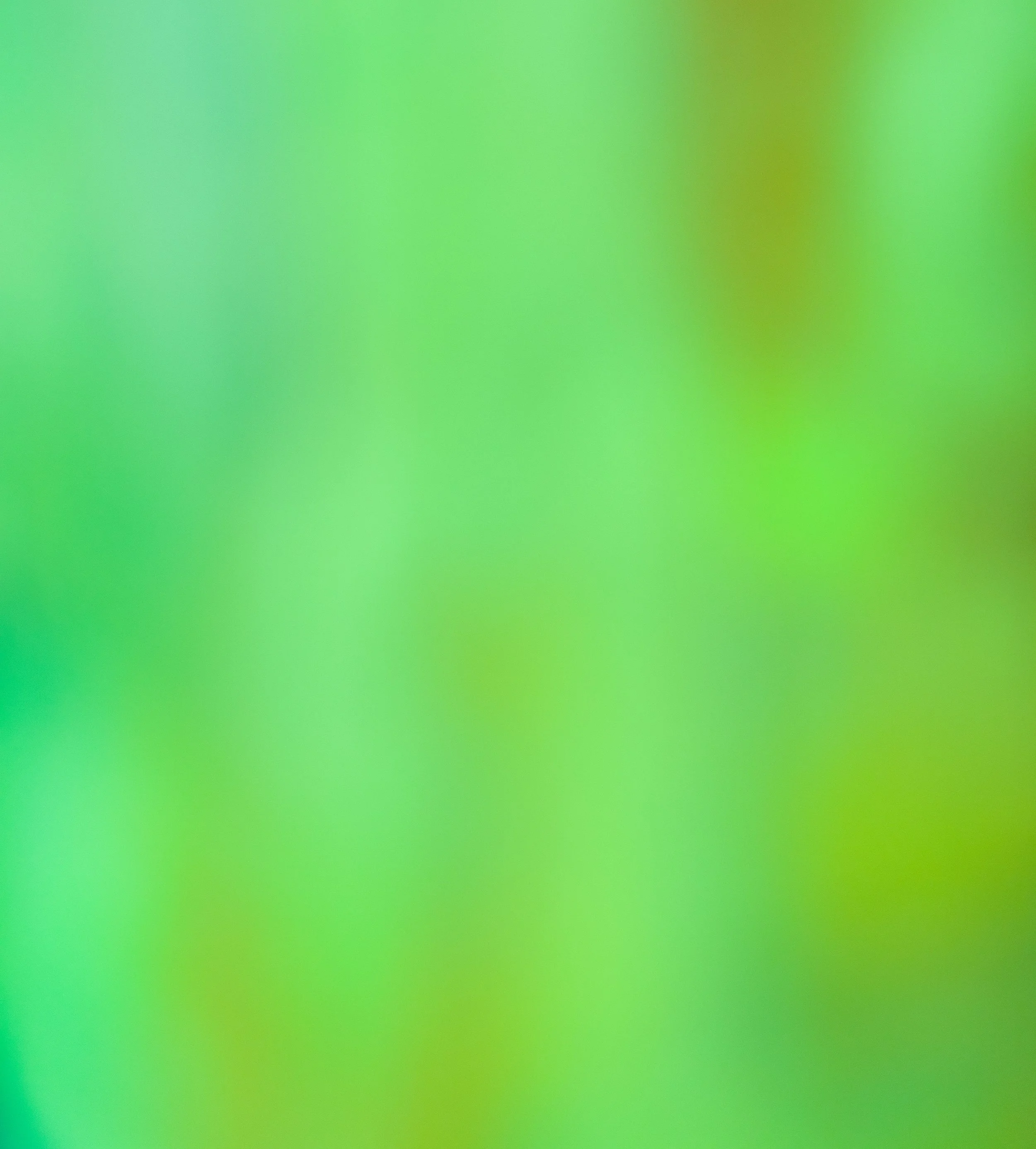 A blurred close-up of a colorful surface with shades of green and yellow, and indistinct objects or shapes in the background.