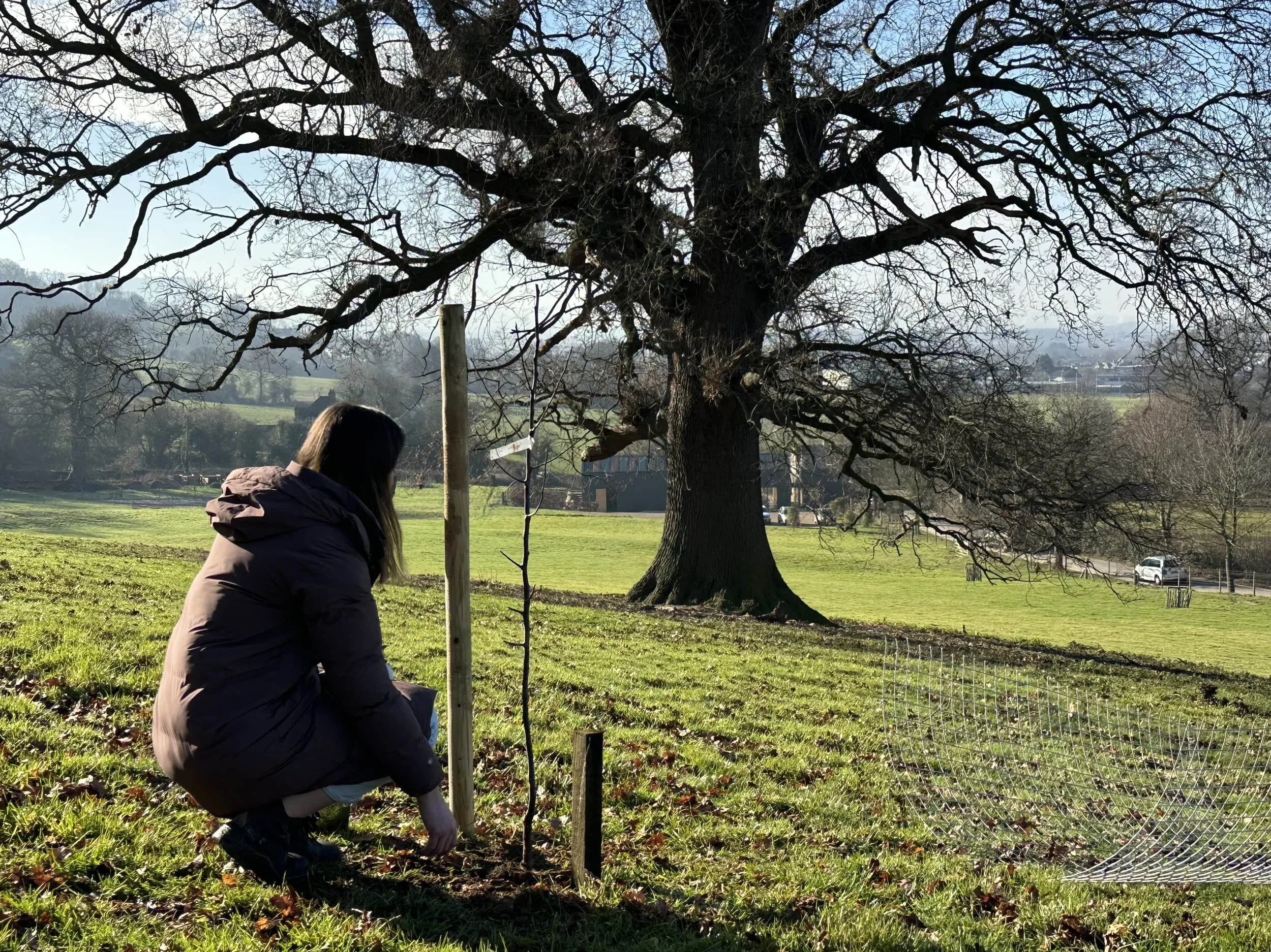 Black Cloud Tea packaging