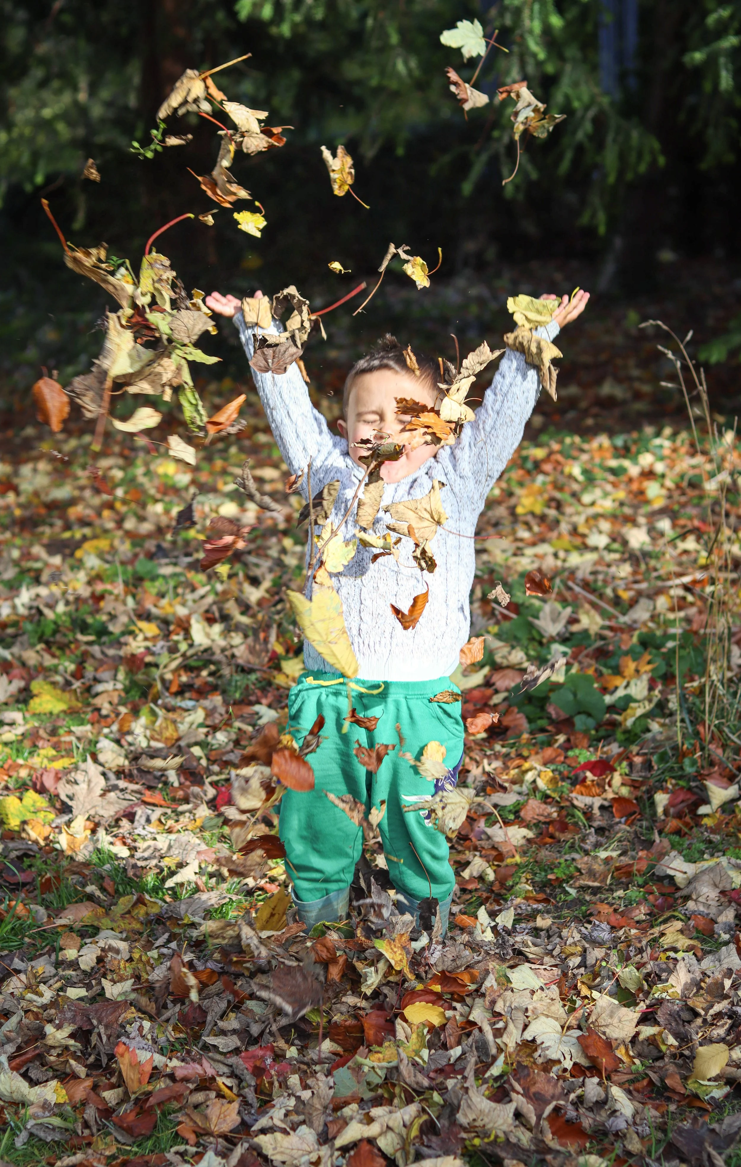 A young boy in a gray sweater and green pants is playing in a pile of fallen autumn leaves in a forested area. He has his arms raised and is smiling with closed eyes as leaves are thrown into the air around him.