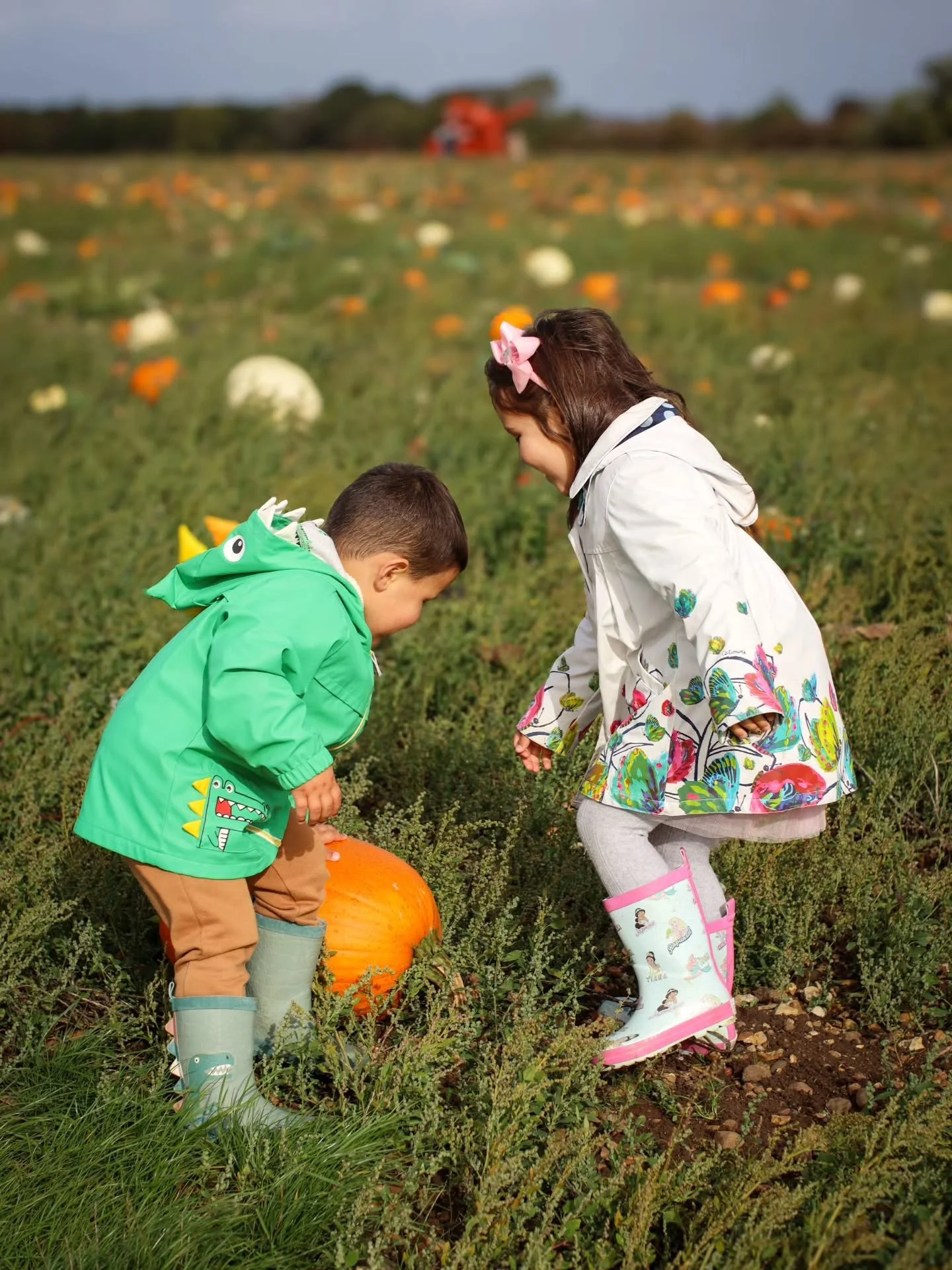 📸

📍The Patch, Milton Keynes 

Pumpkin picking 🎃