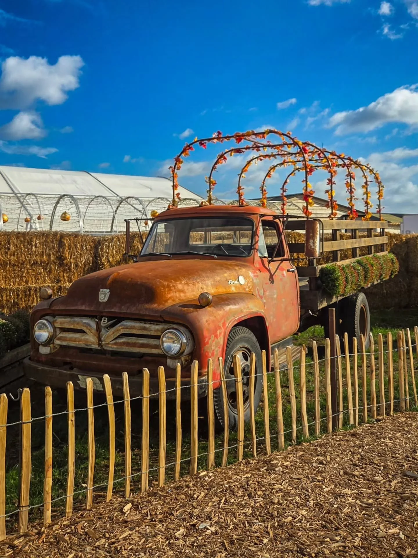 📸

📍The Patch, Milton Keynes 

Sunny &amp; very windy day 🎃🚜 

www.victoria-angelov-photography.com