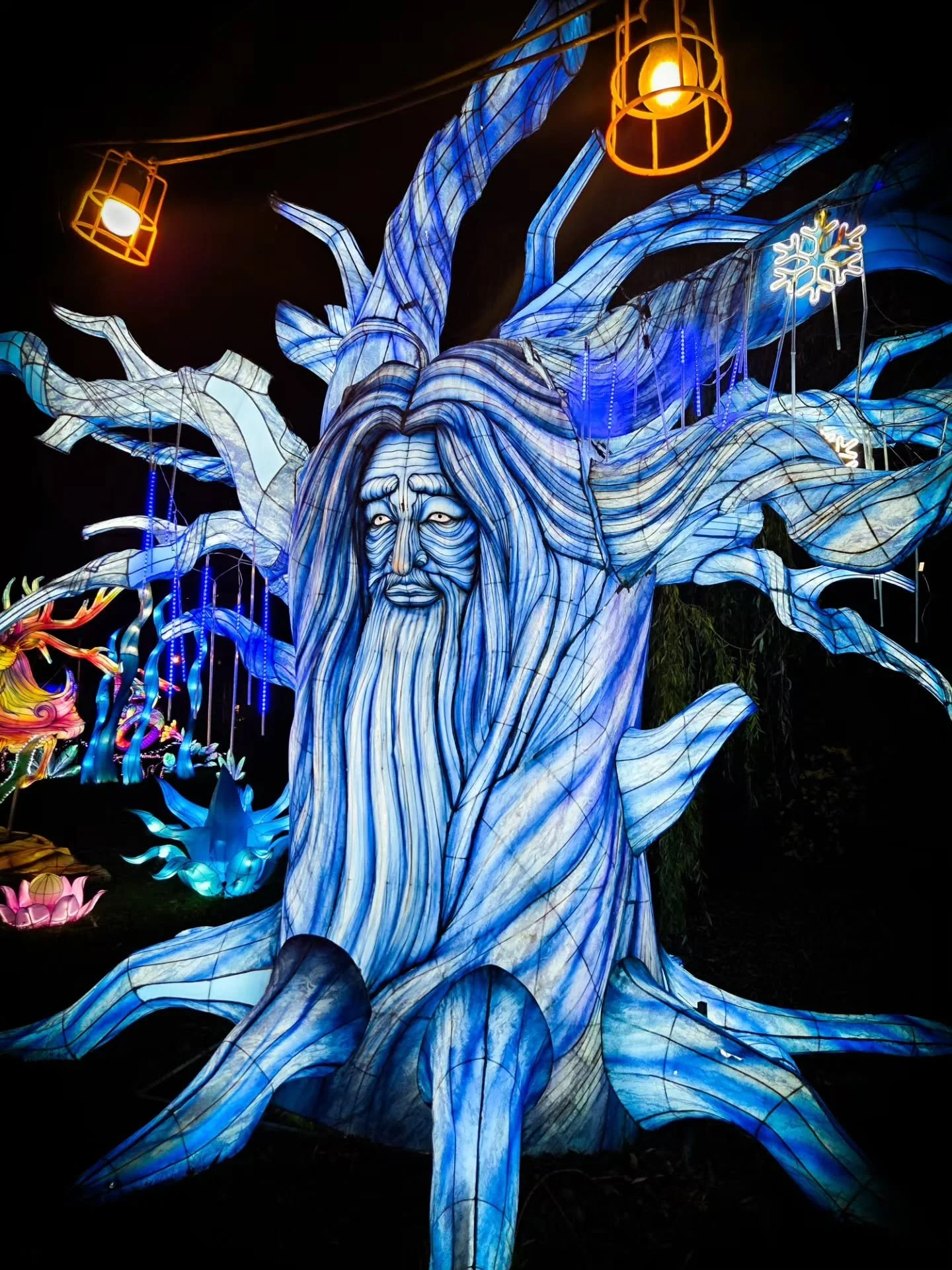 📸

📍Land Of Lights, Milton Keynes 

This year's display 🦖✨️