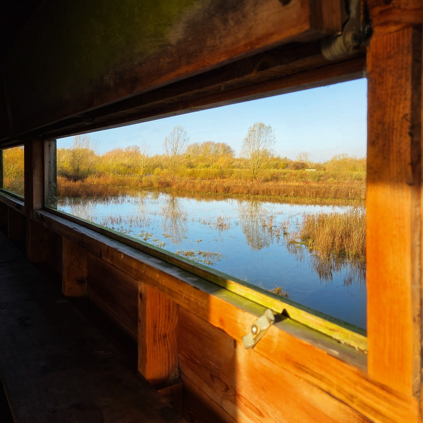 📸

📍Forest Nature Reserve, Milton Keynes 

Bird hide view ✨️