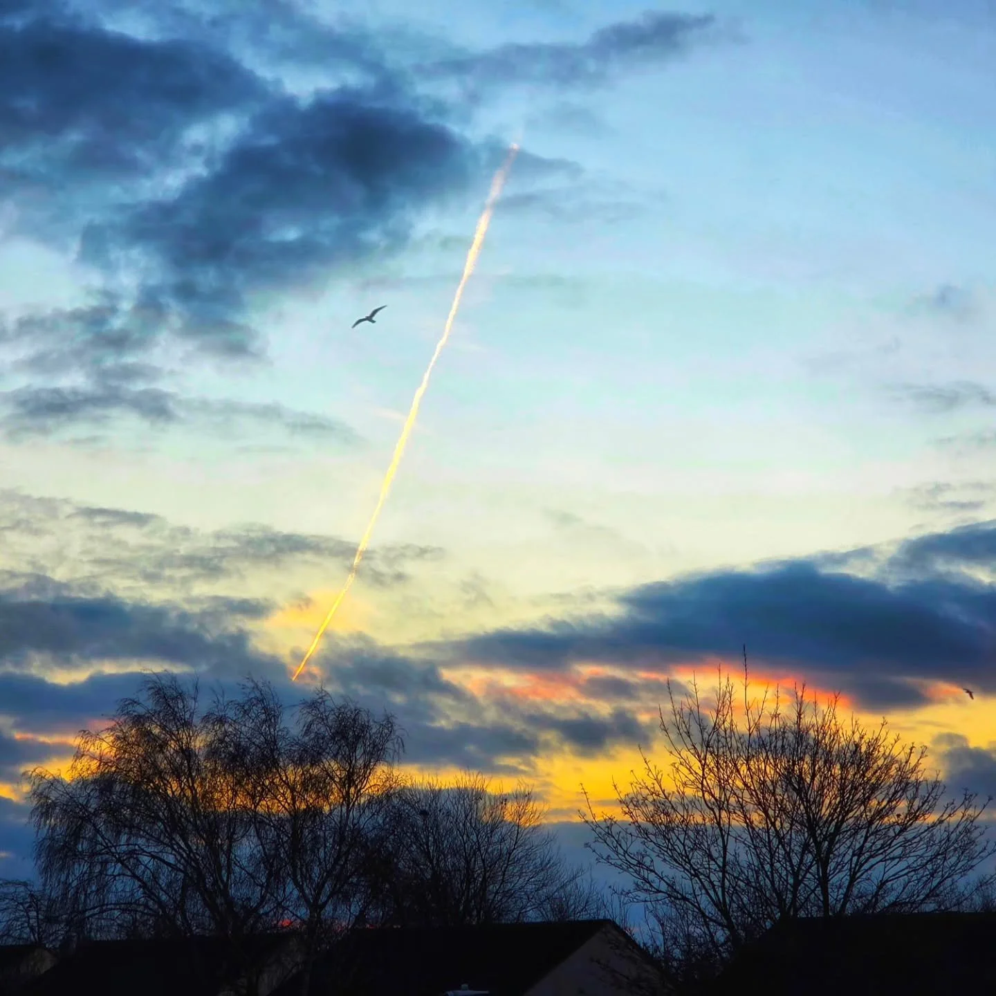 📸

📍Milton Keynes, Buckinghamshire 

December sunrises 🌅
