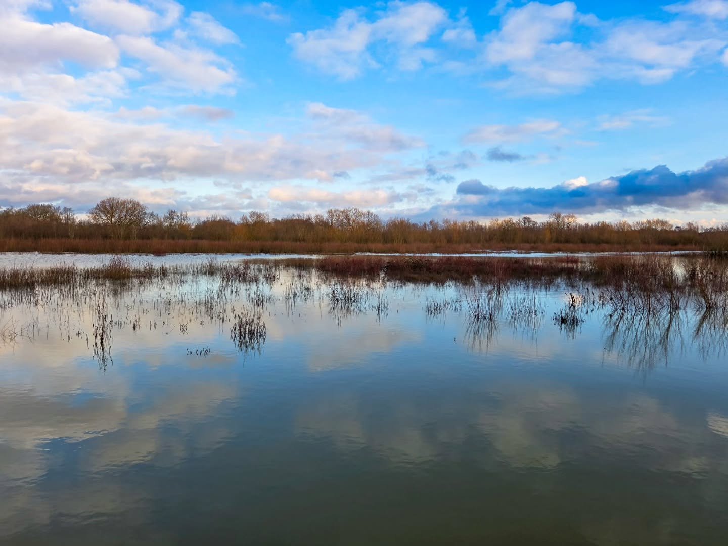 📸

📍Forest Nature Reserve, Milton Keynes 

I couldn't choose a favourite ☁️