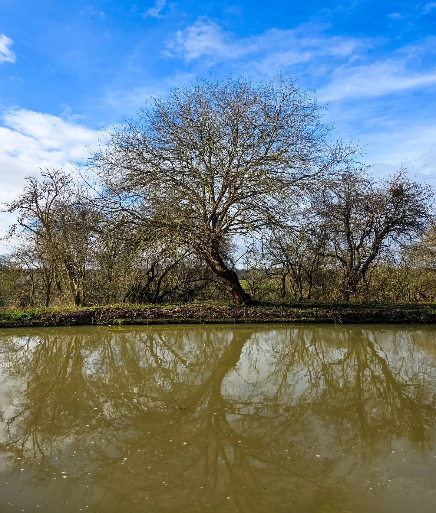 📸

📍Iron Trunk Aquaduct, Milton Keynes 

Morning reflections 🪾