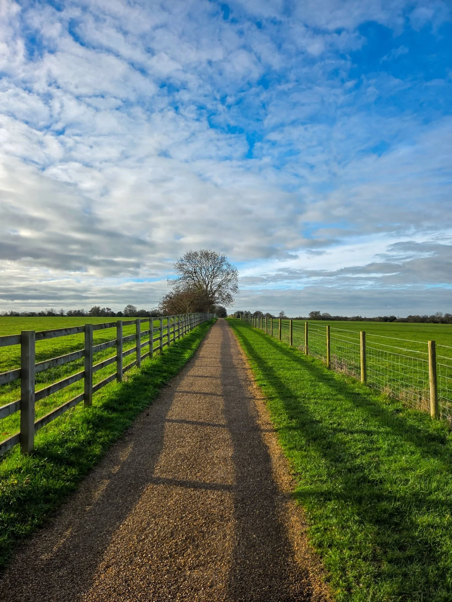📸

📍Forest Nature Reserve, Wolverton 

Long walks ✨️
