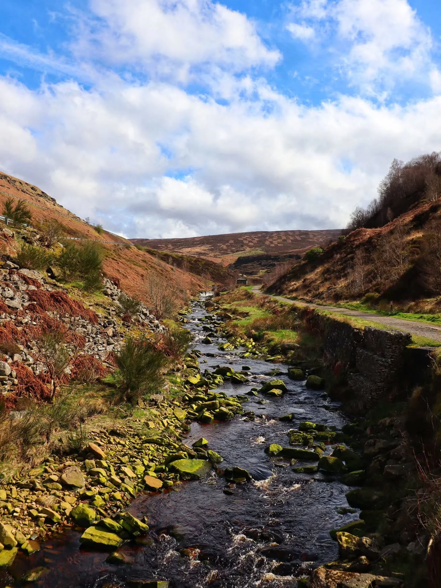 📸

📍Middle Black Clough Waterfall, Peak District 

Beautiful views 😍