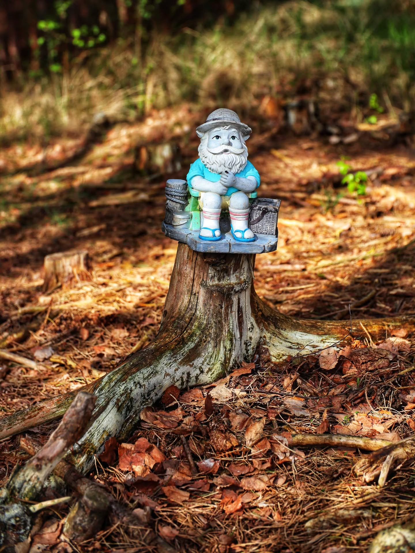 📸

📍Aspley Woods, Woburn Sands 

Woodland walk 🌳